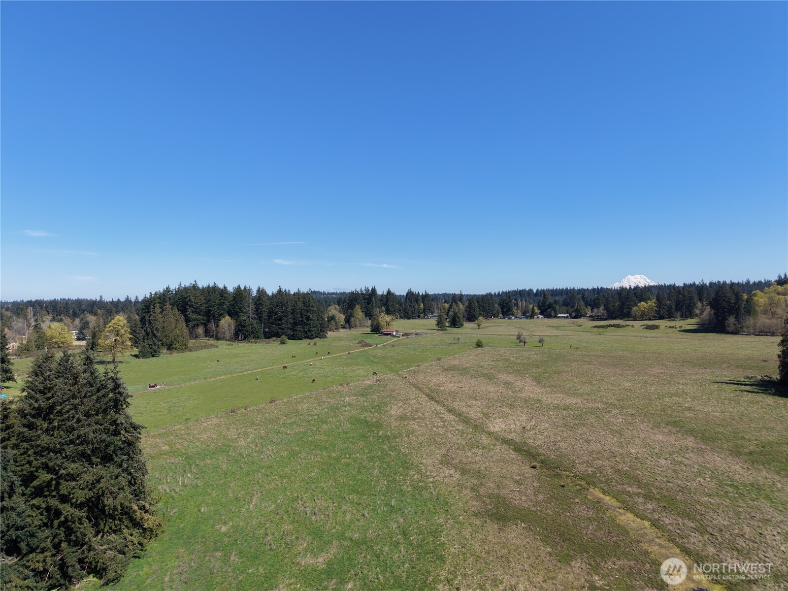 11938 Case Extension Road Property Photo 7