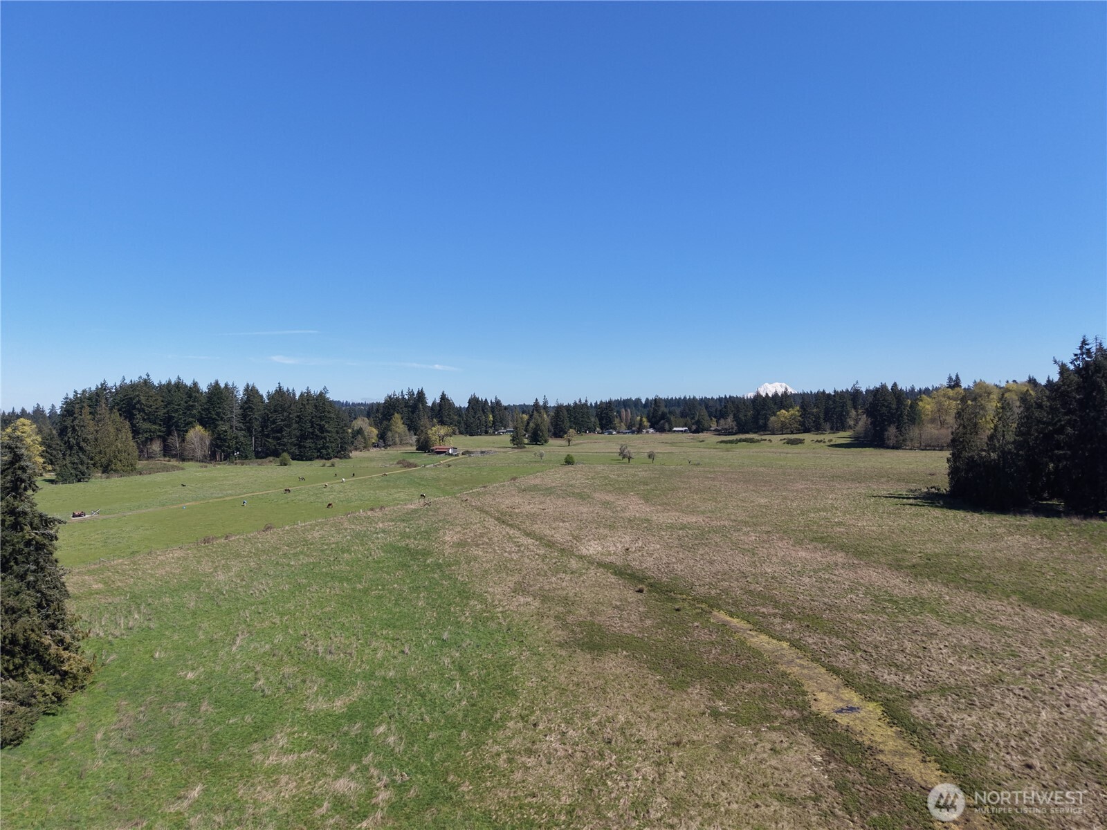 11938 Case Extension Road Property Photo 8
