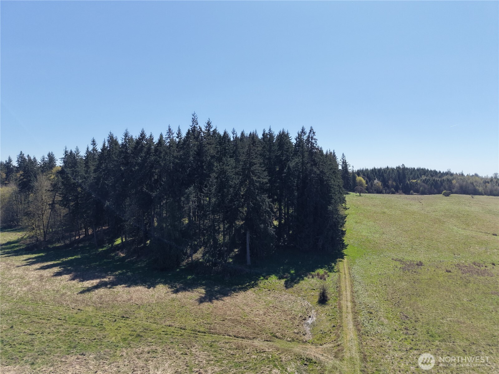 11938 Case Extension Road Property Photo 9