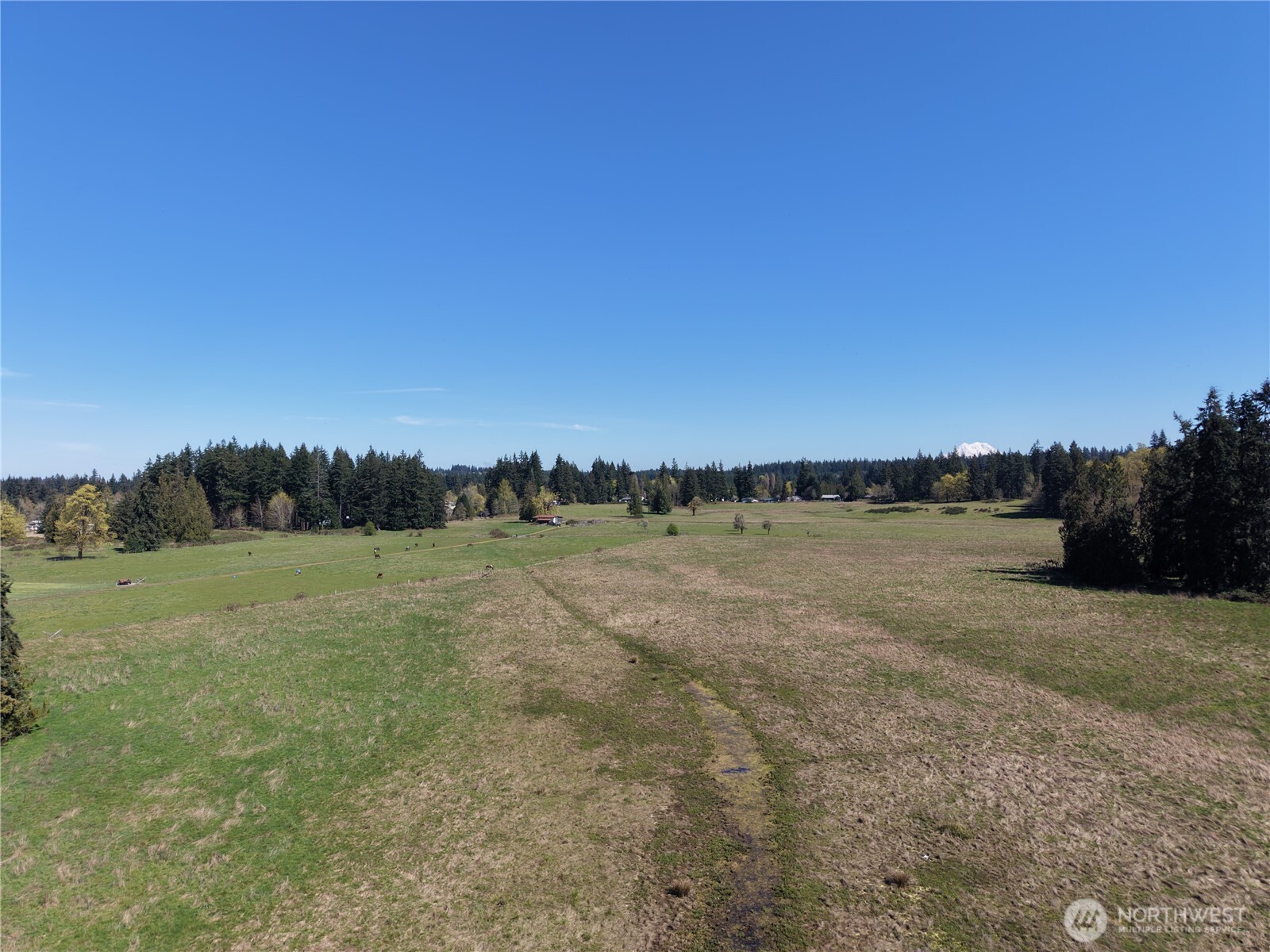 11938 Case Extension Road Property Photo 12