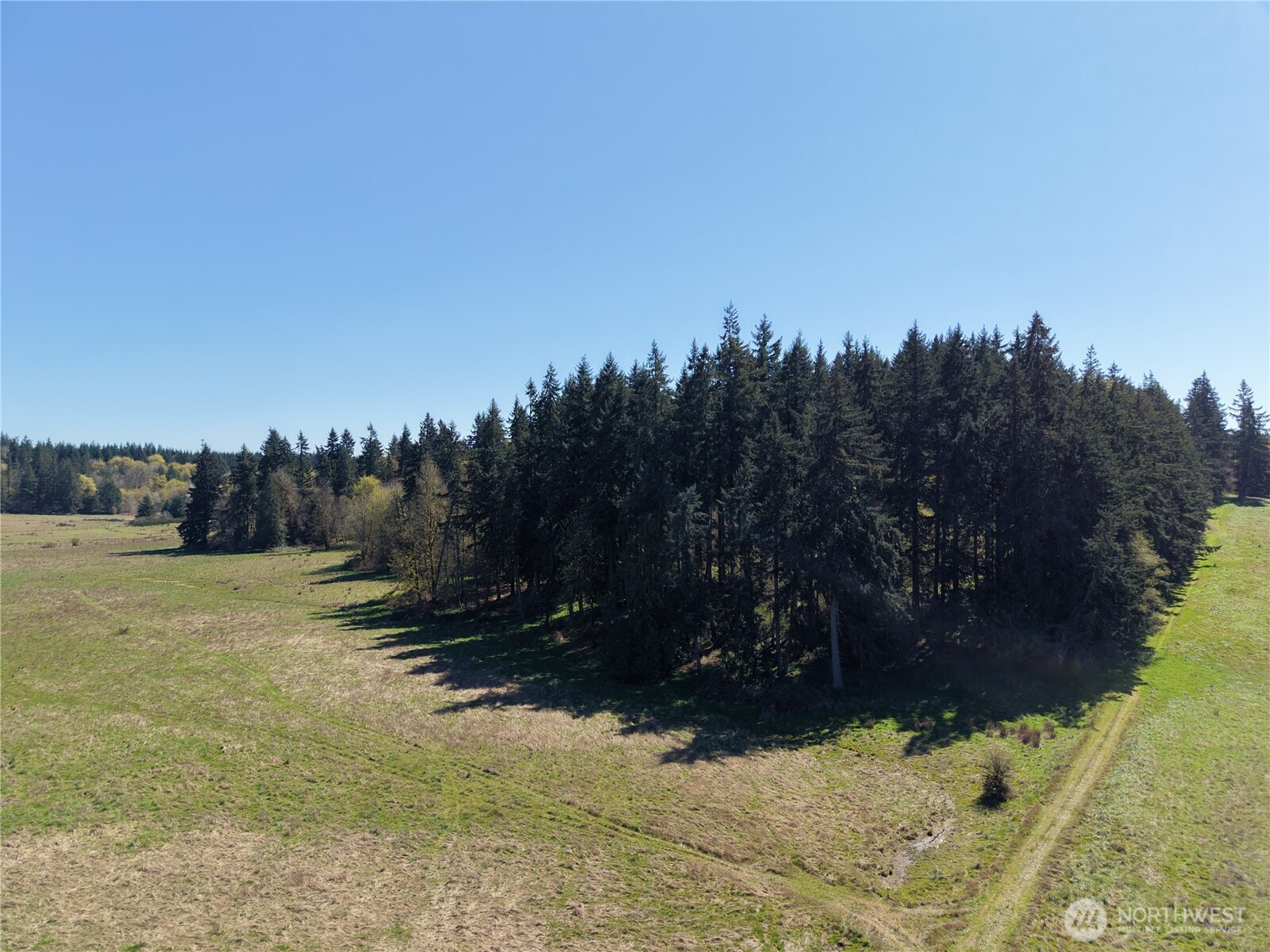 11938 Case Extension Road Property Photo 19
