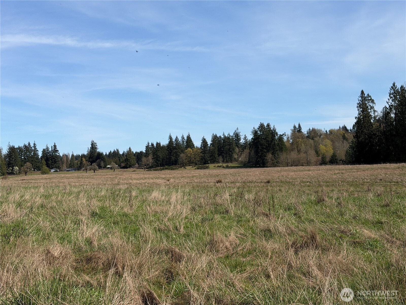 11938 Case Extension Road Property Photo 26