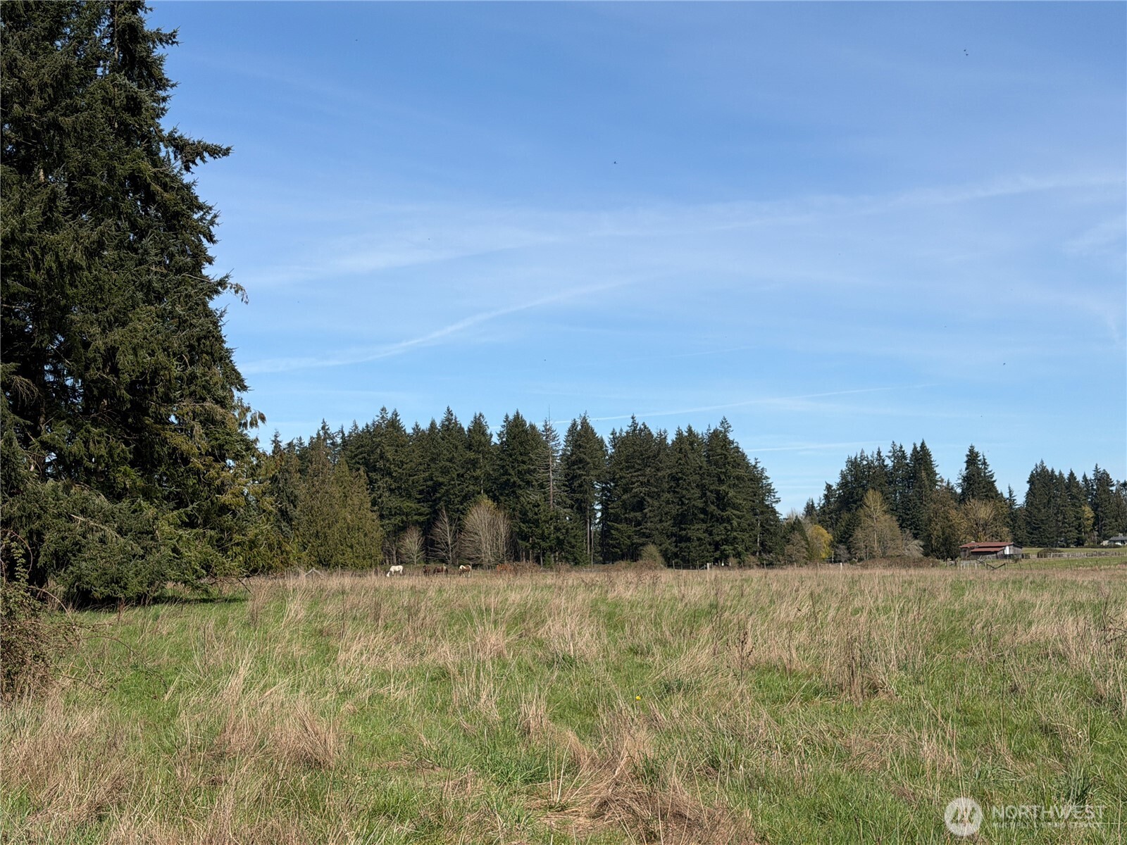 11938 Case Extension Road Property Photo 27