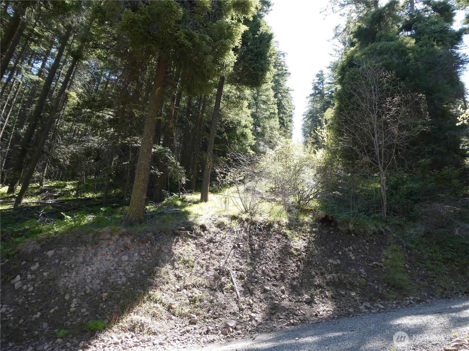 831 Horse Heaven Road Property Photo 25