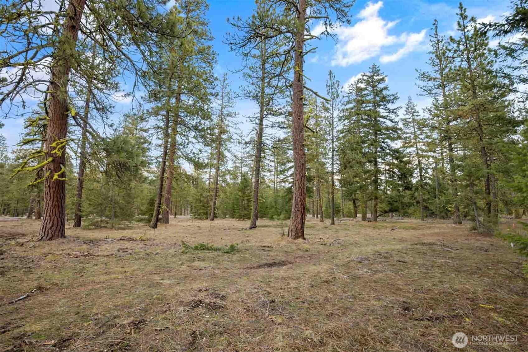 28 Wanawish Loop Property Photo 28