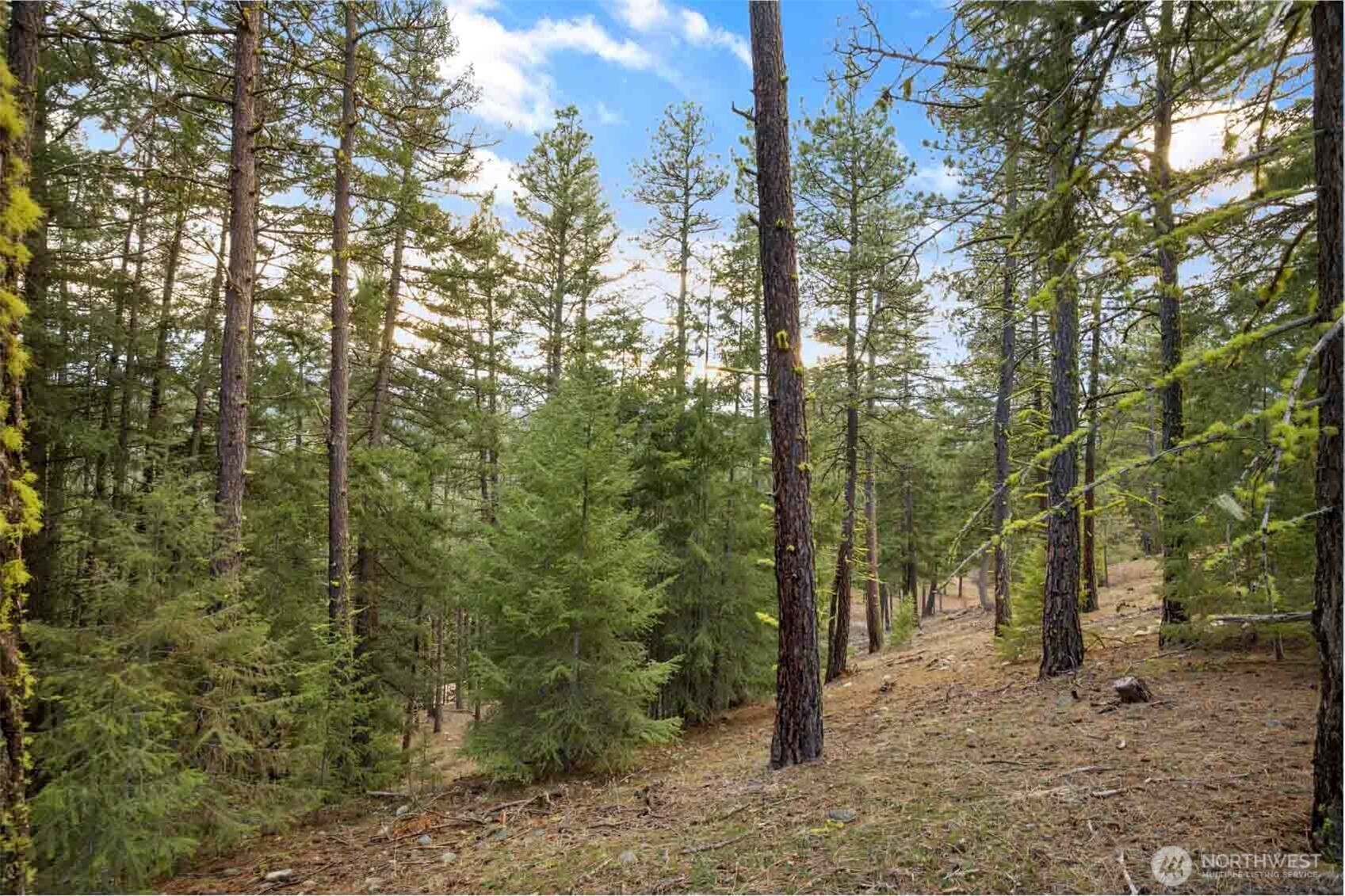 28 Wanawish Loop Property Photo 31