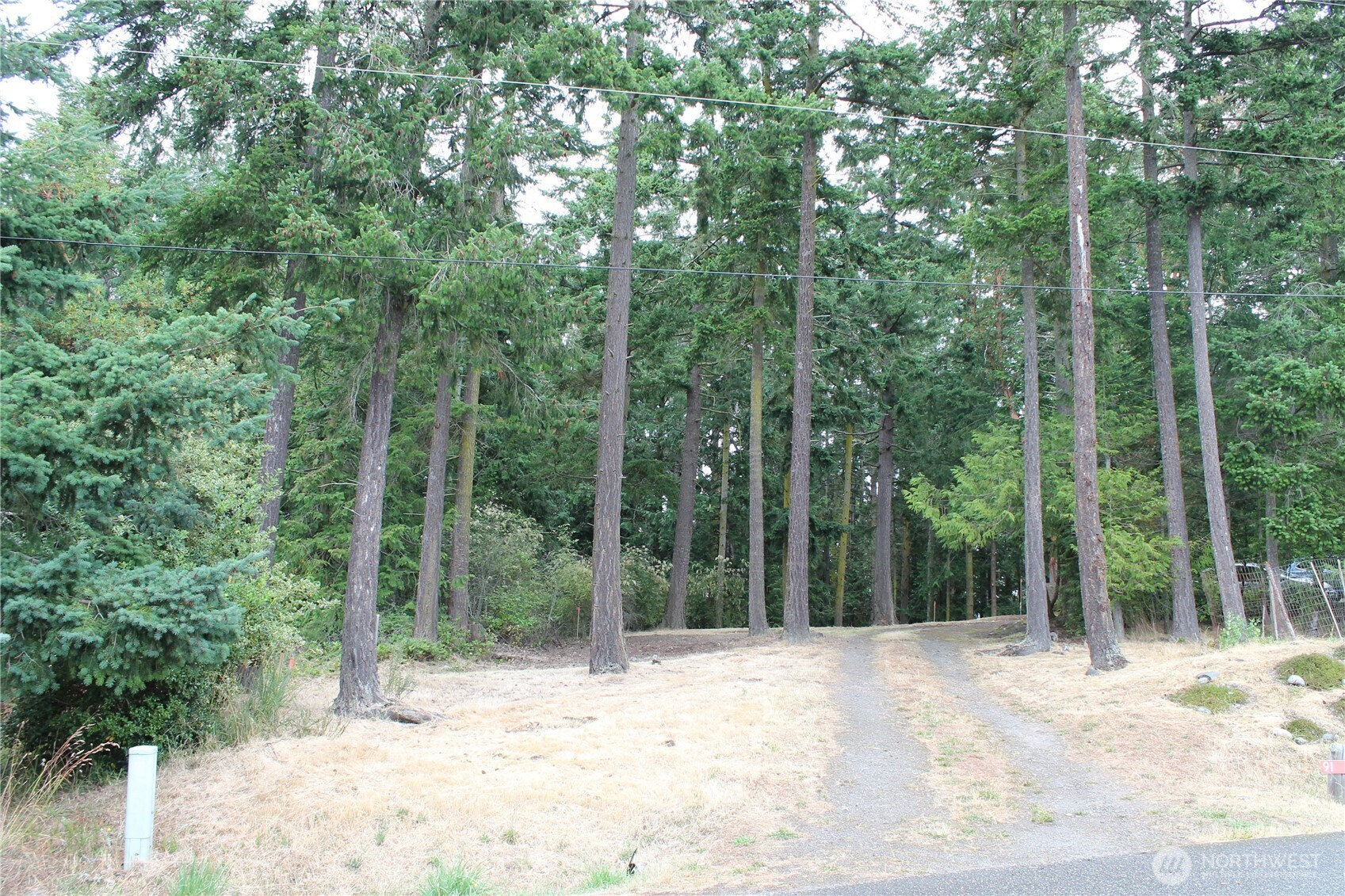 85 Quinault Loop Property Photo 8
