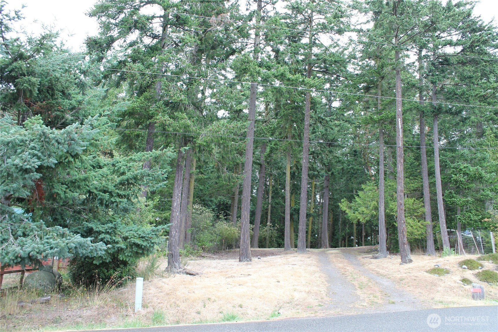 85 Quinault Loop Property Photo 9