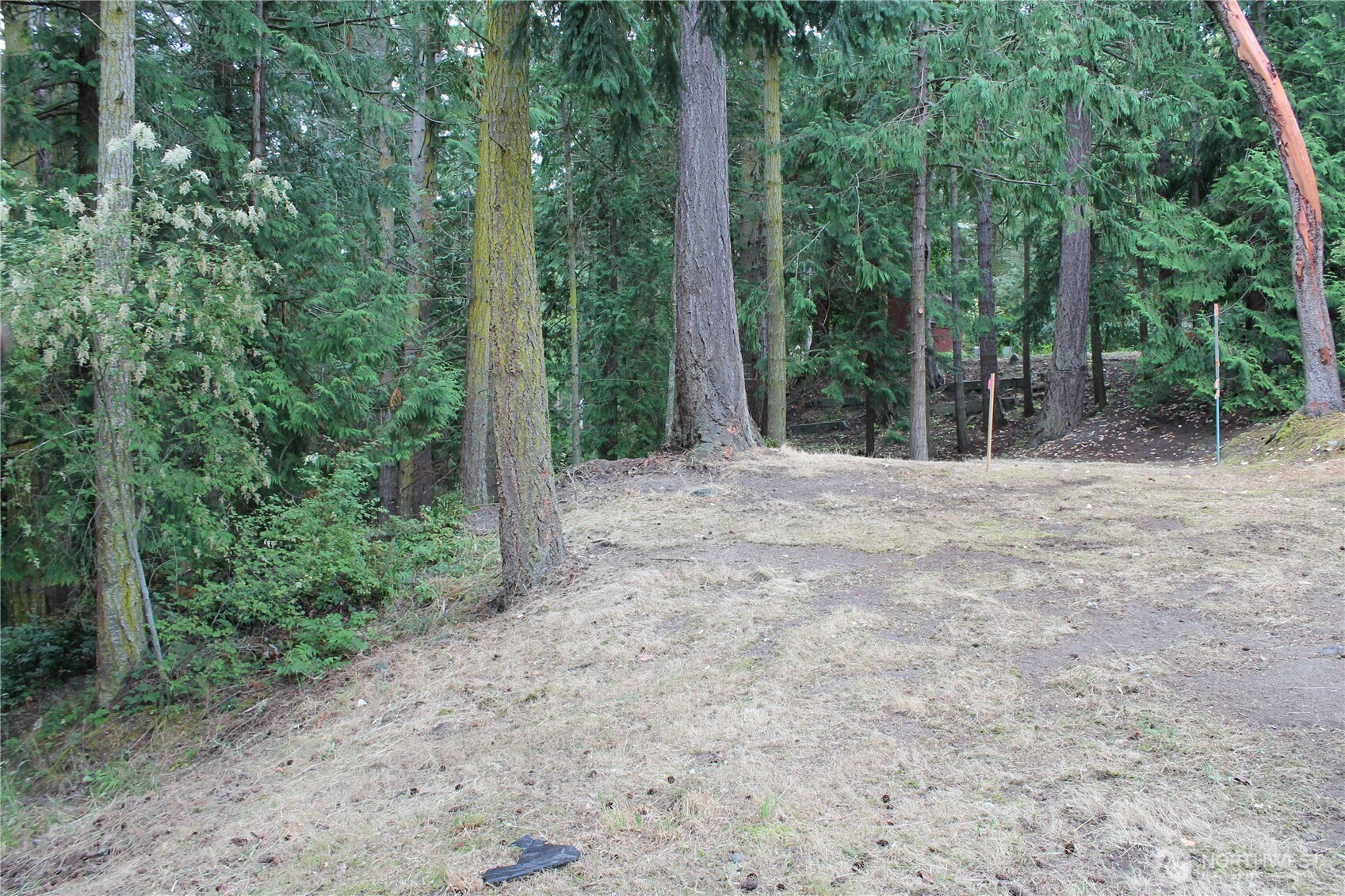 85 Quinault Loop Property Photo 10