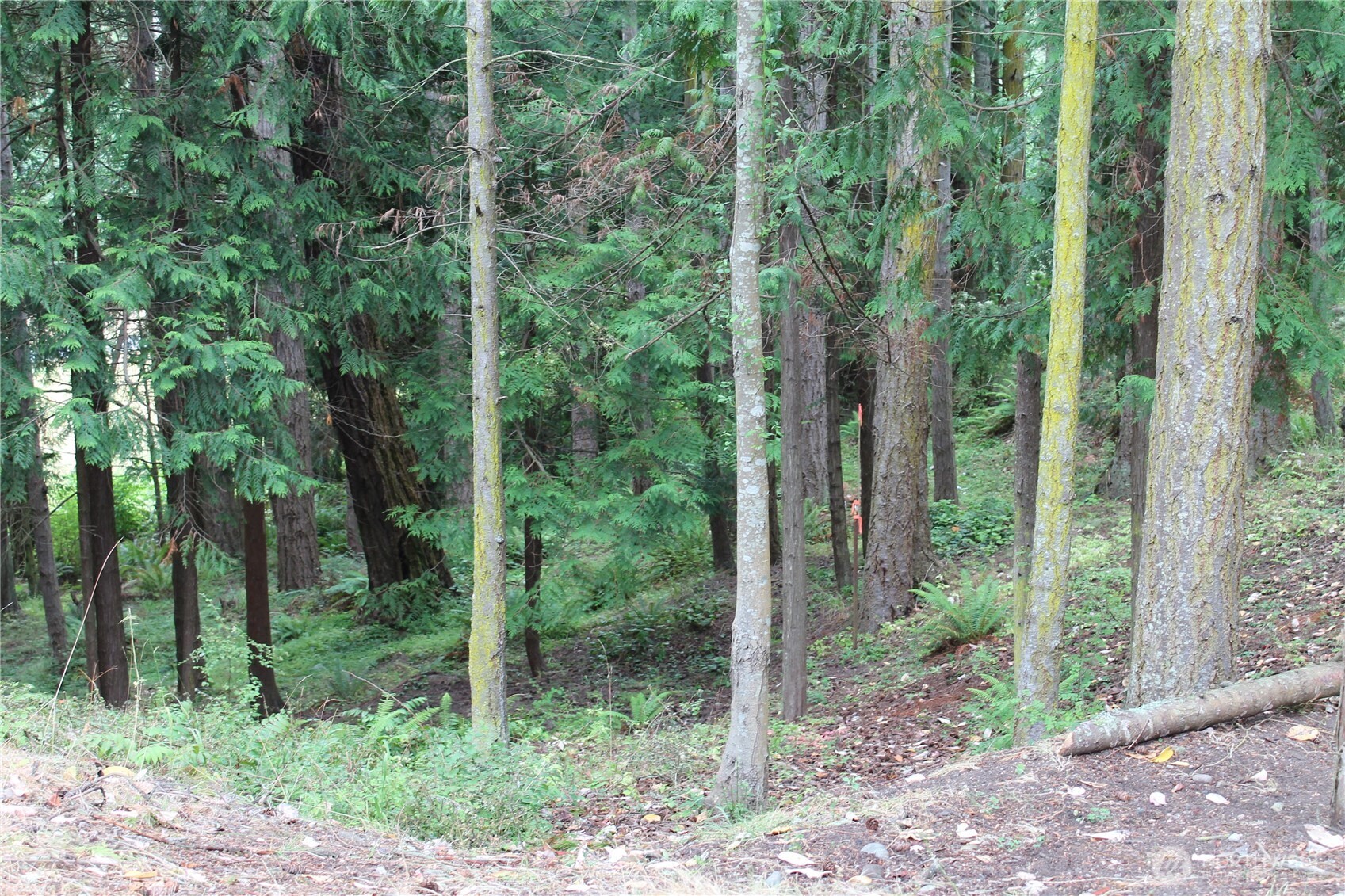 85 Quinault Loop Property Photo 12
