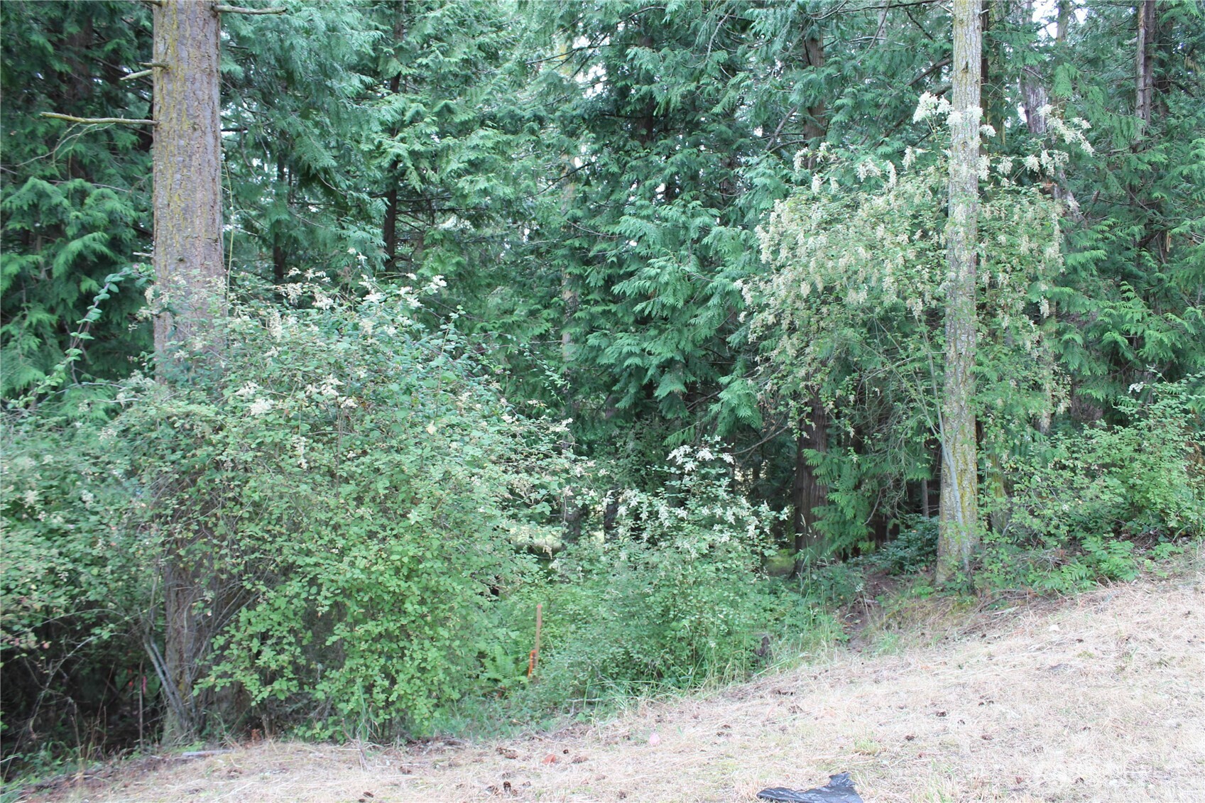 85 Quinault Loop Property Photo 13