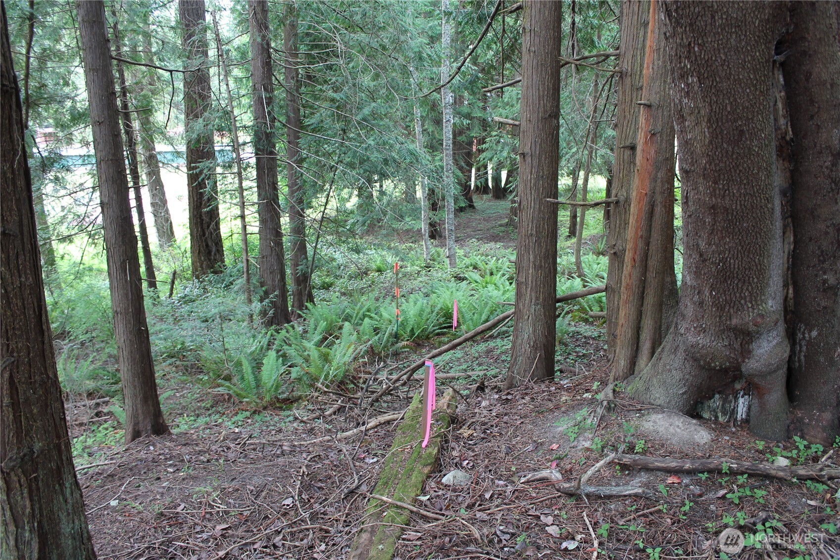 85 Quinault Loop Property Photo 16