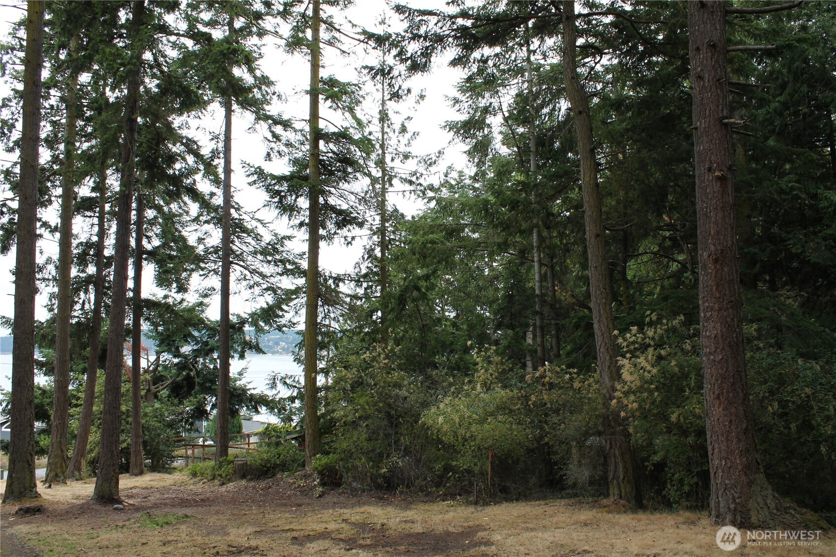 85 Quinault Loop Property Photo 20