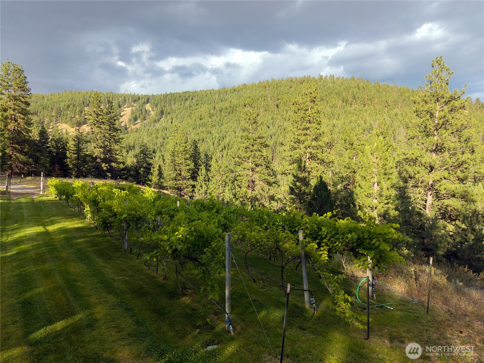 26 Smith Canyon Road Property Photo 29