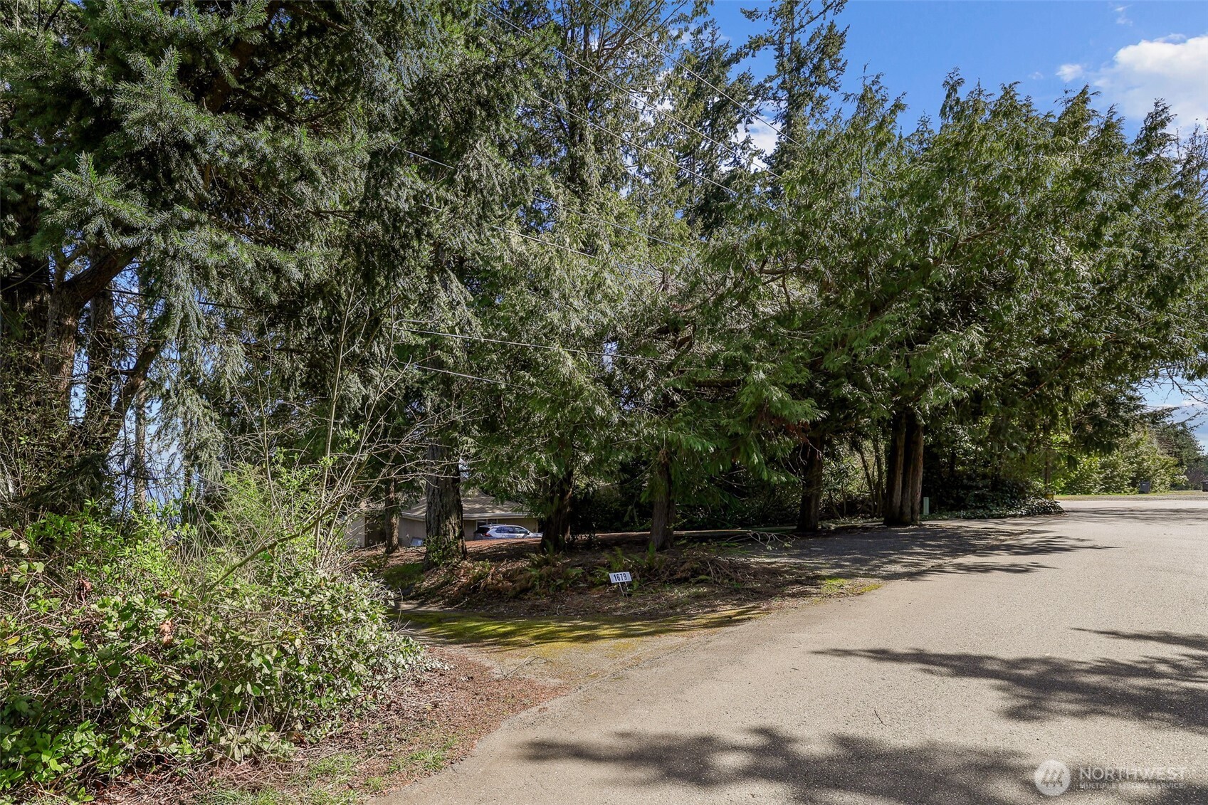 1679 Miracle Mile Drive Property Photo 28