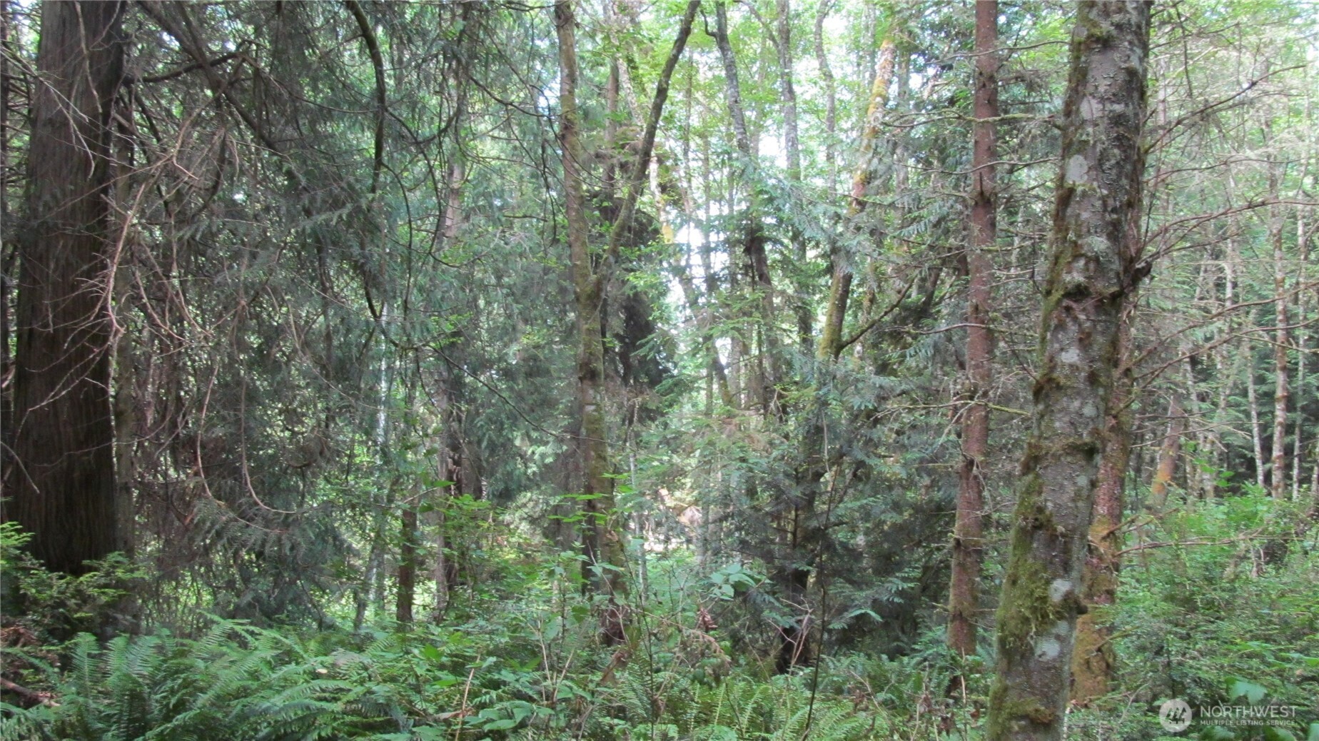 0 Midvale Road Property Photo 8