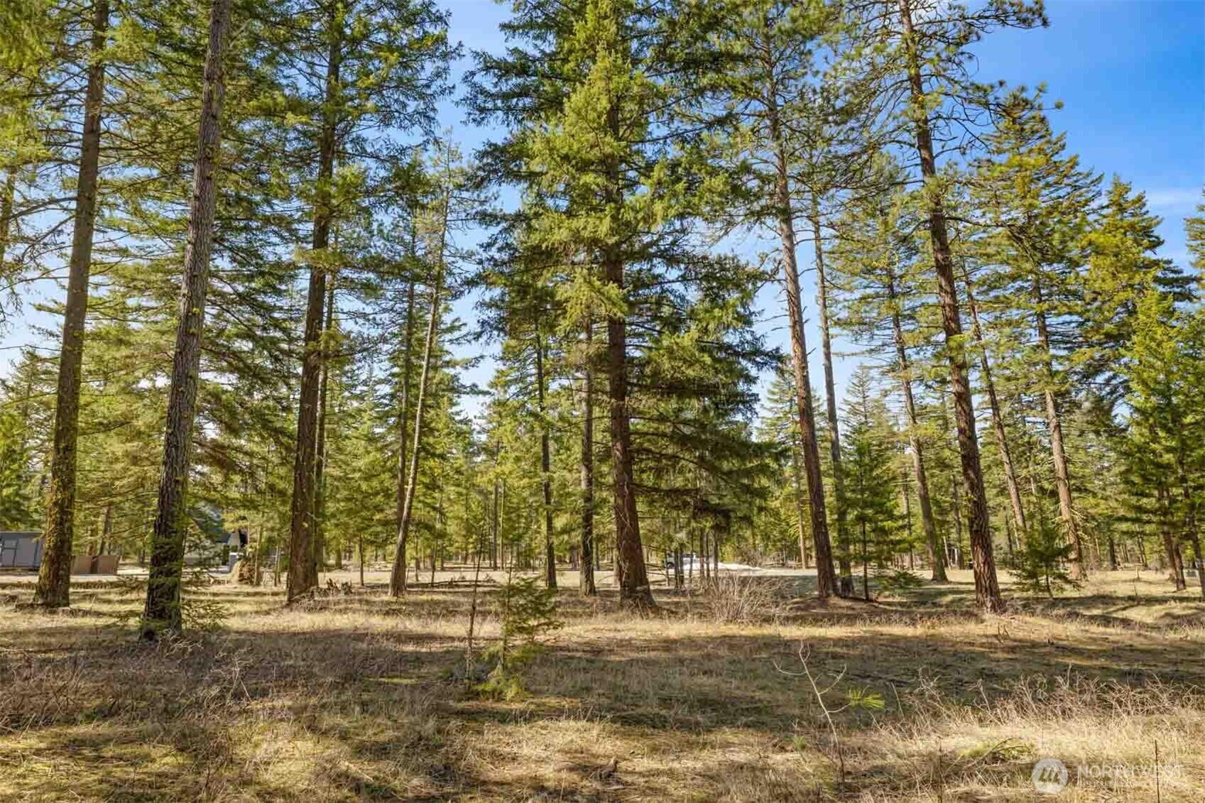 60 Wanawish Loop Property Photo 25