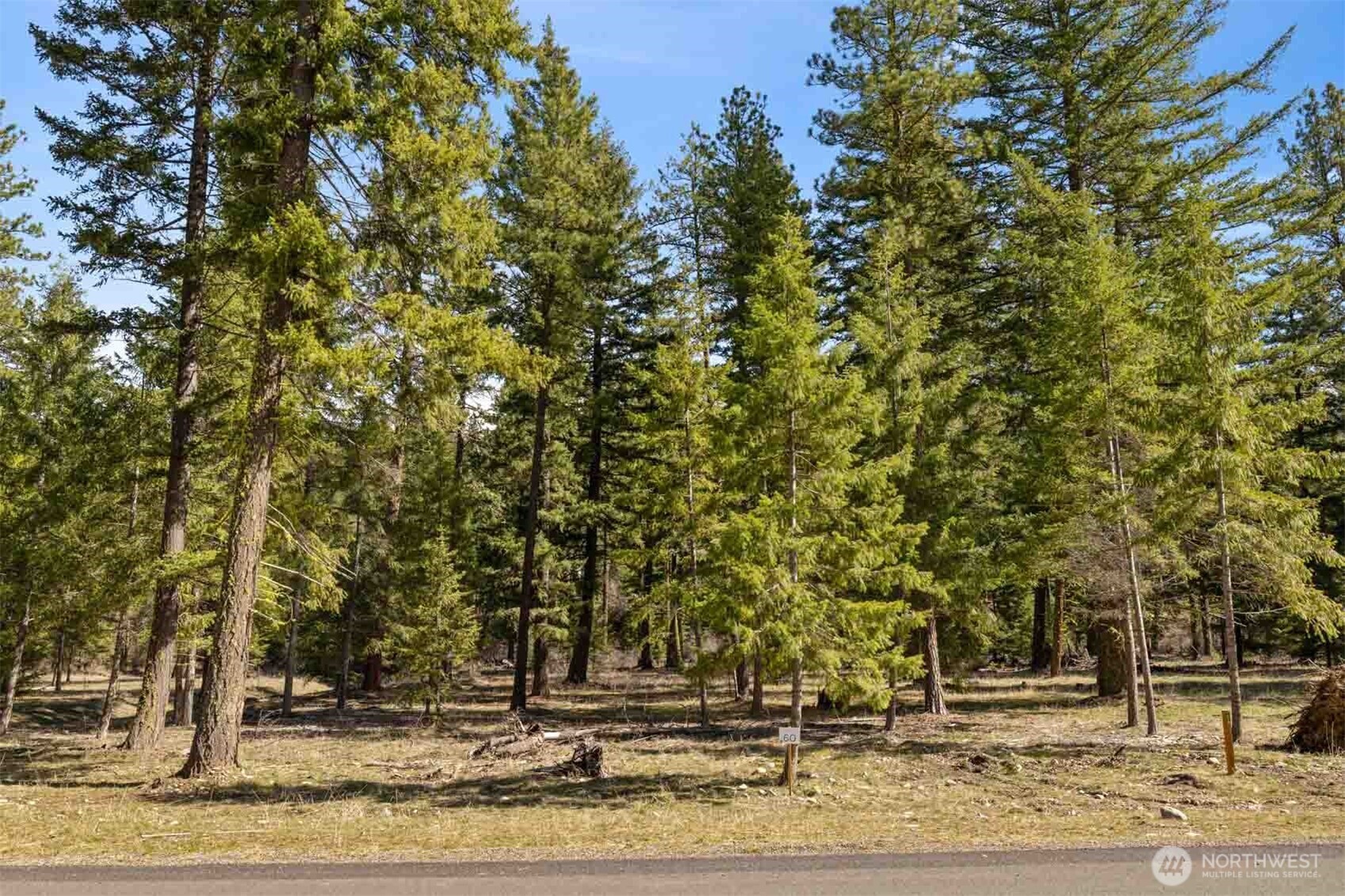 60 Wanawish Loop Property Photo 27