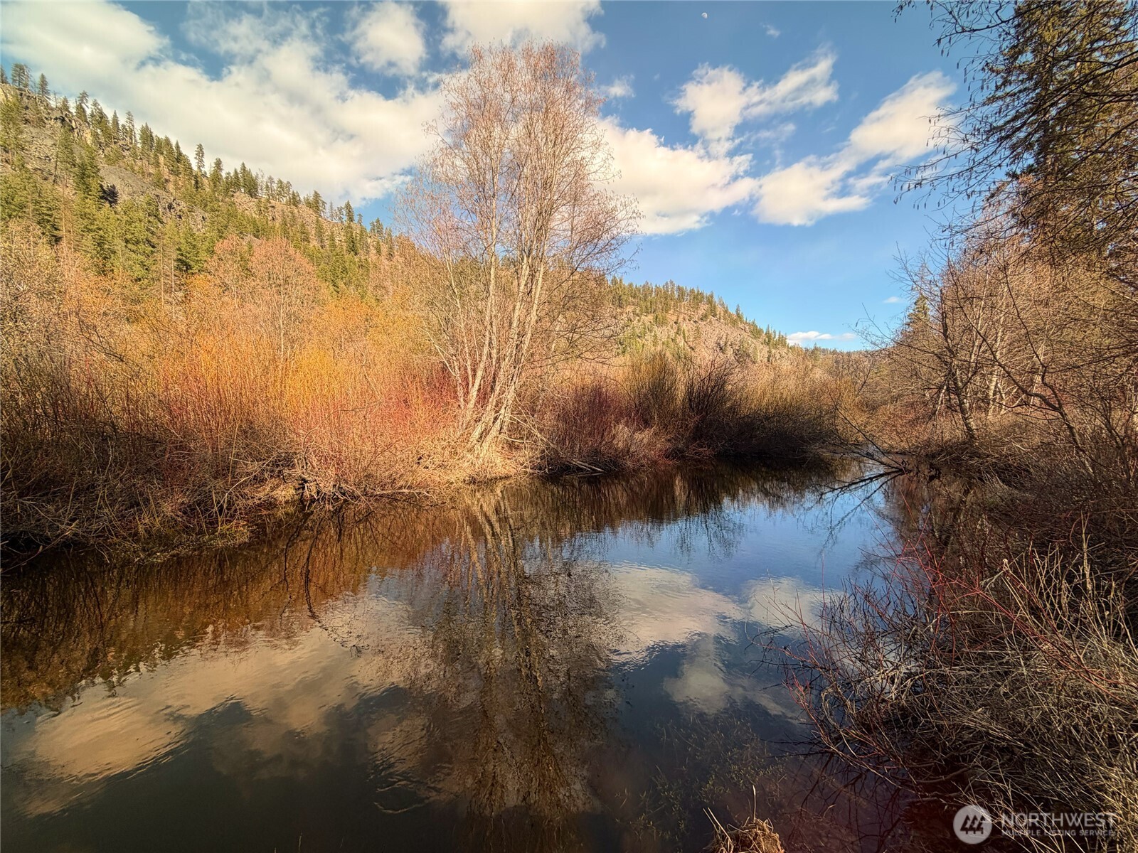 1721 Aeneas Valley Road Property Photo 3