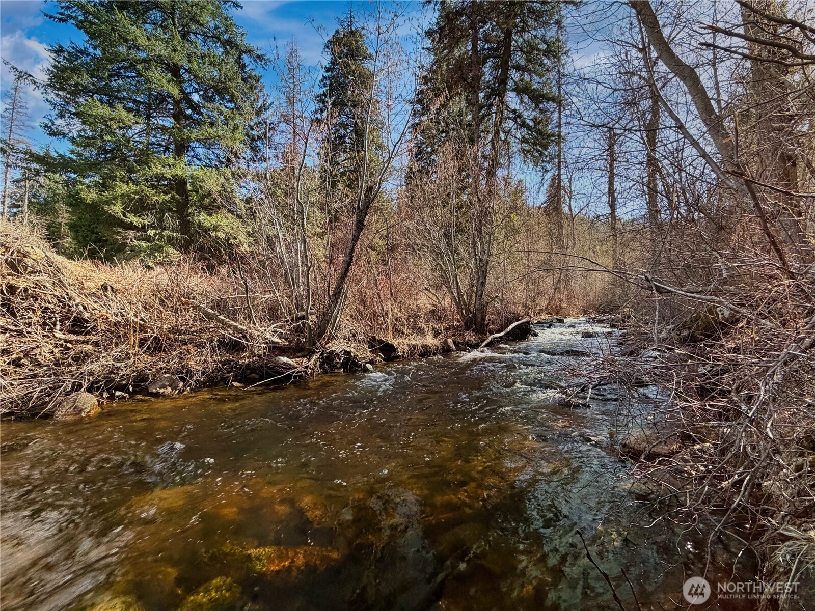 1721 Aeneas Valley Road Property Photo 4