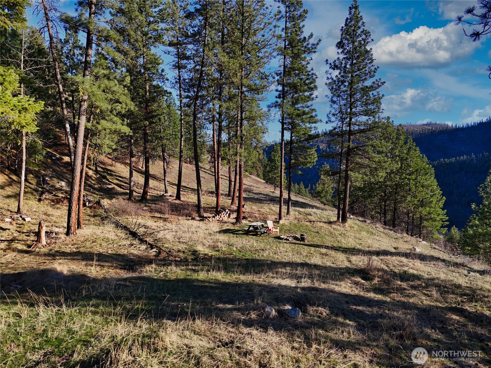 1721 Aeneas Valley Road Property Photo 14