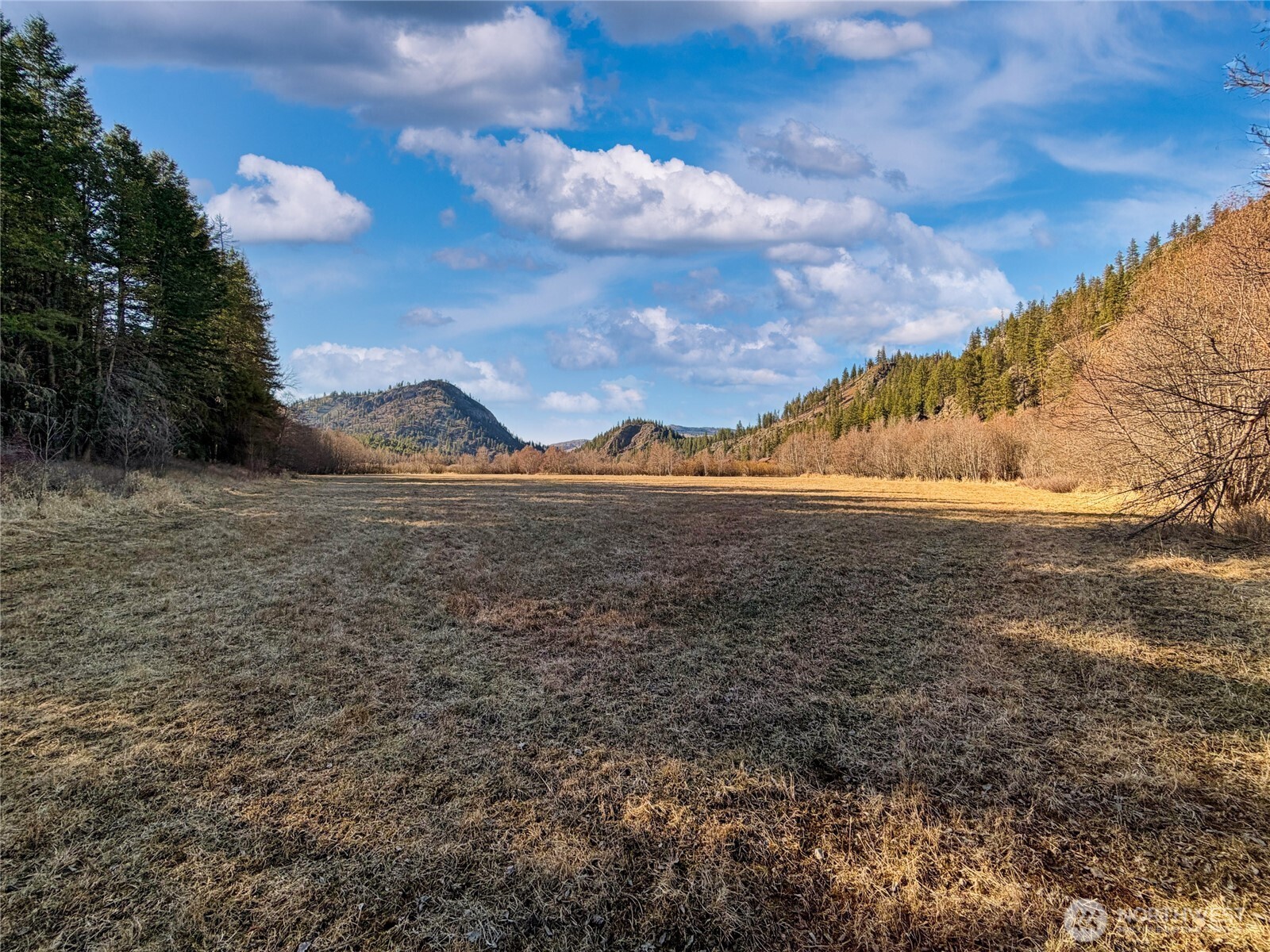 1721 Aeneas Valley Road Property Photo 20