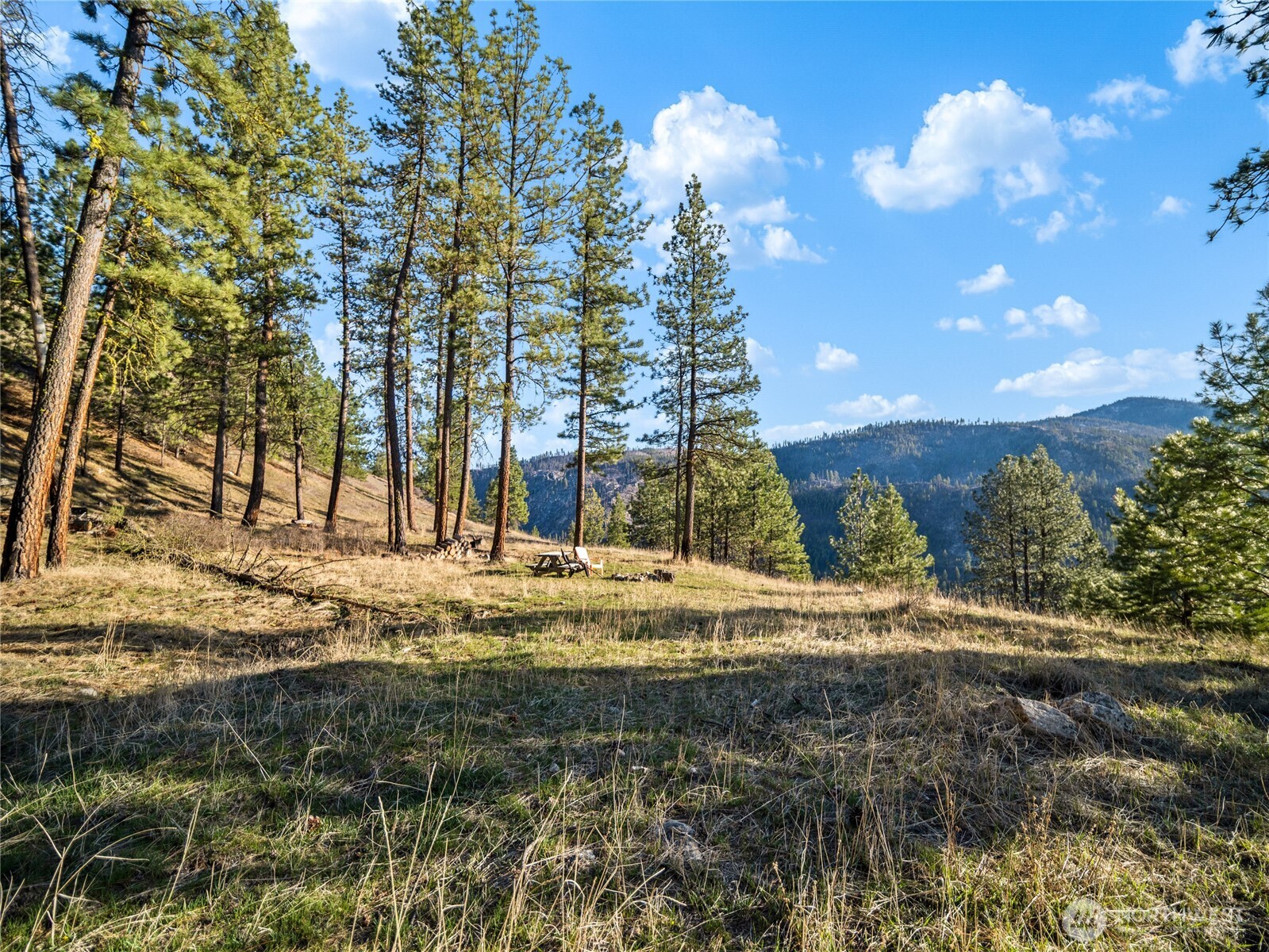 1721 Aeneas Valley Road Property Photo 21