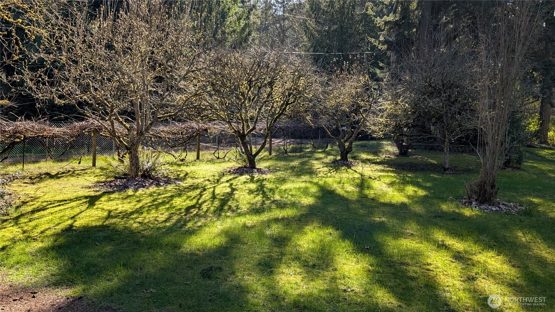 16827 41st Street Property Photo 33