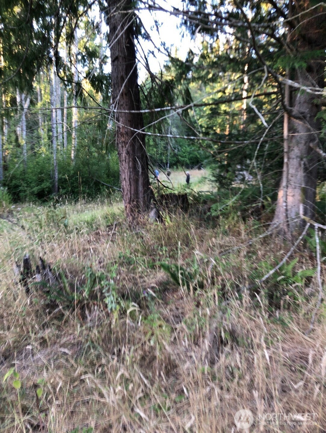121 N Bagley Creek Road Property Photo 2