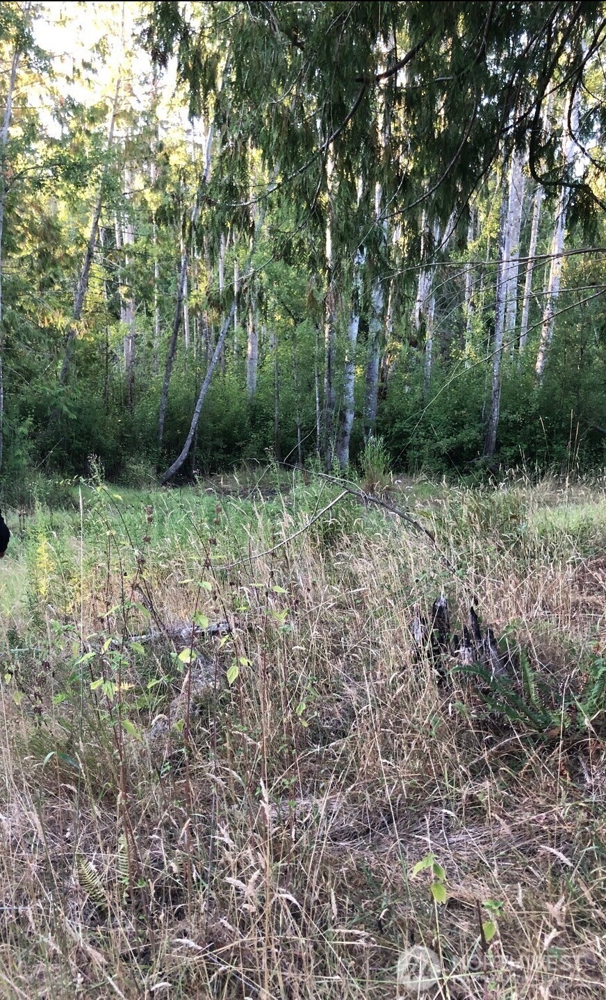 121 N Bagley Creek Road Property Photo 3