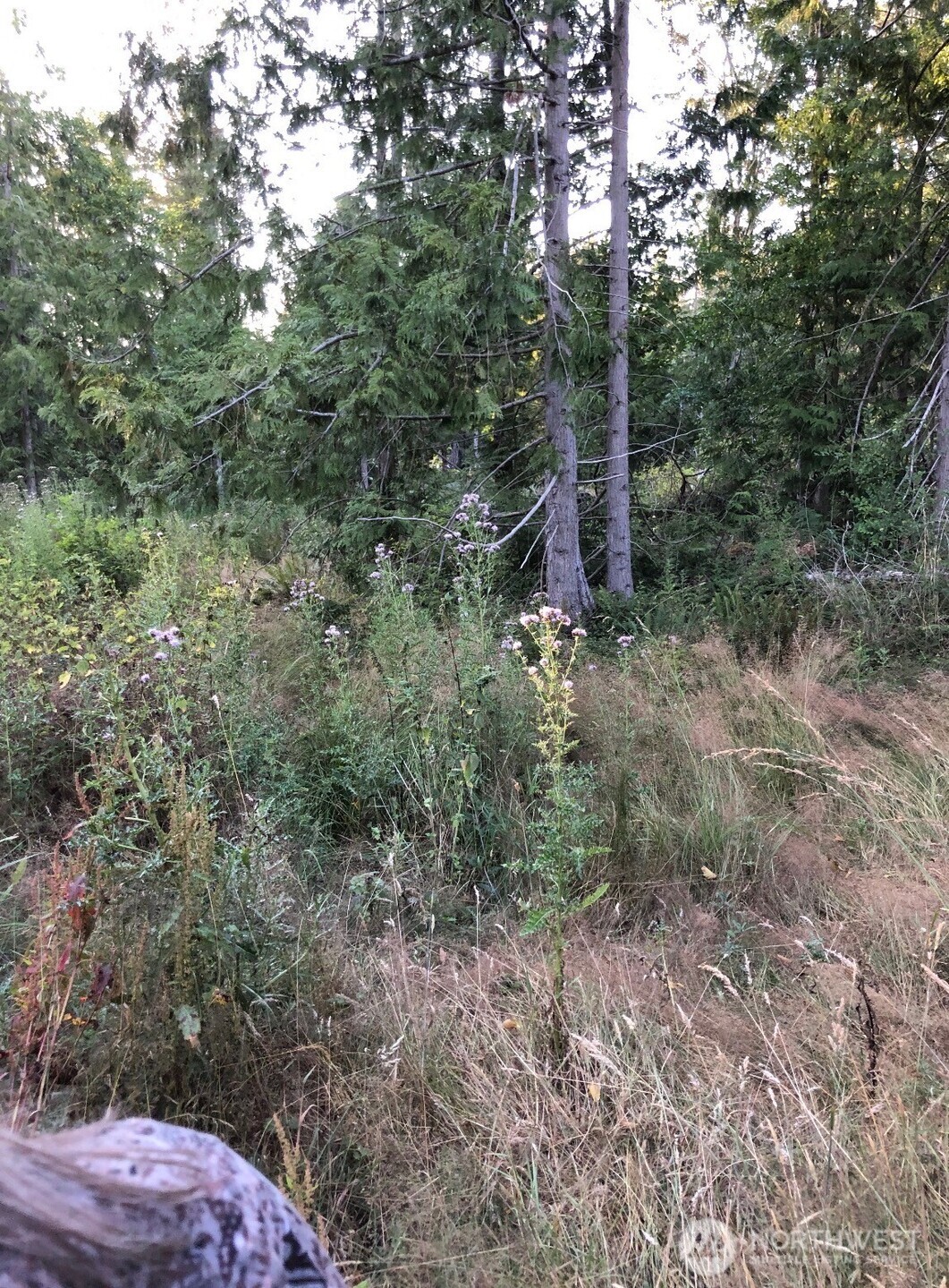 121 N Bagley Creek Road Property Photo 4