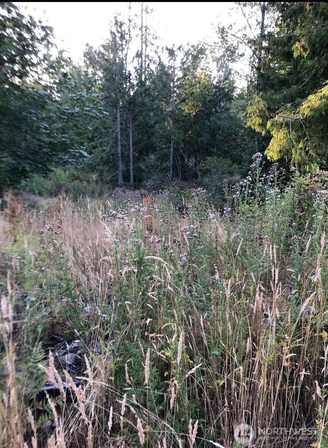 121 N Bagley Creek Road Property Photo 6