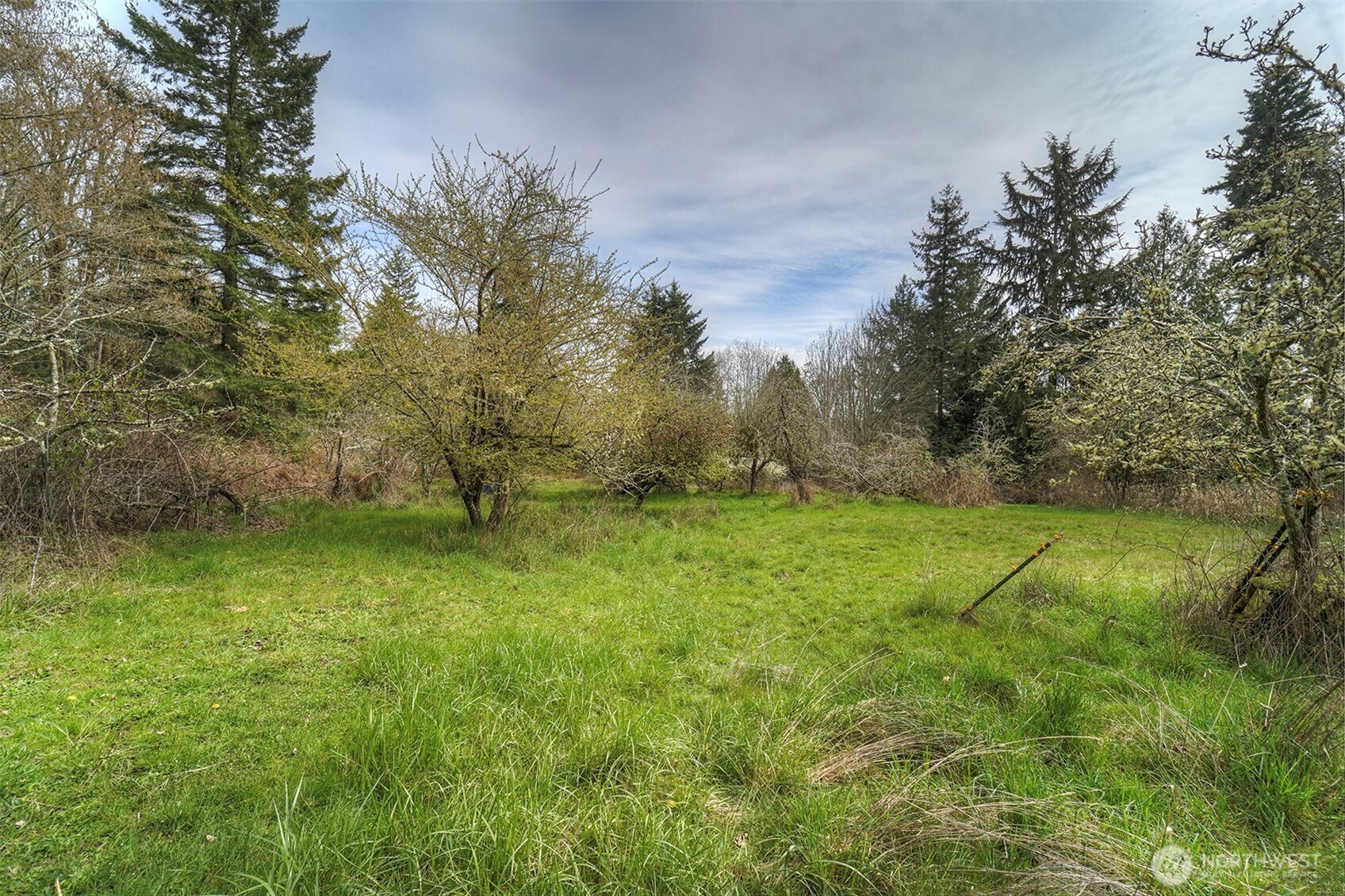 31481 Night Owl Avenue Property Photo 39