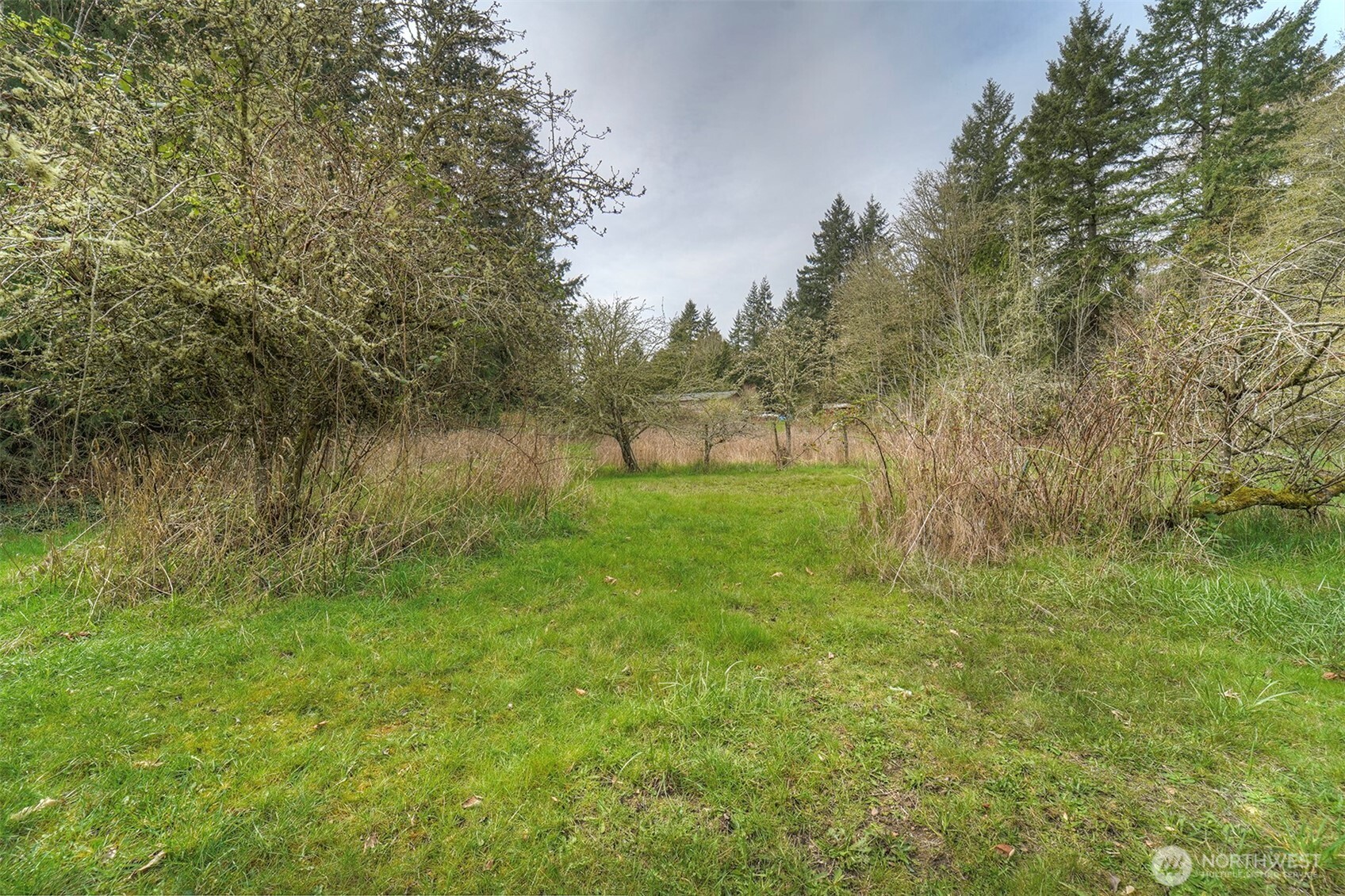 31481 Night Owl Avenue Property Photo 40