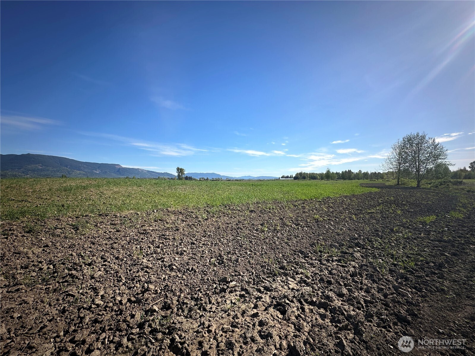 0 Clearbrook Road Property Photo 6