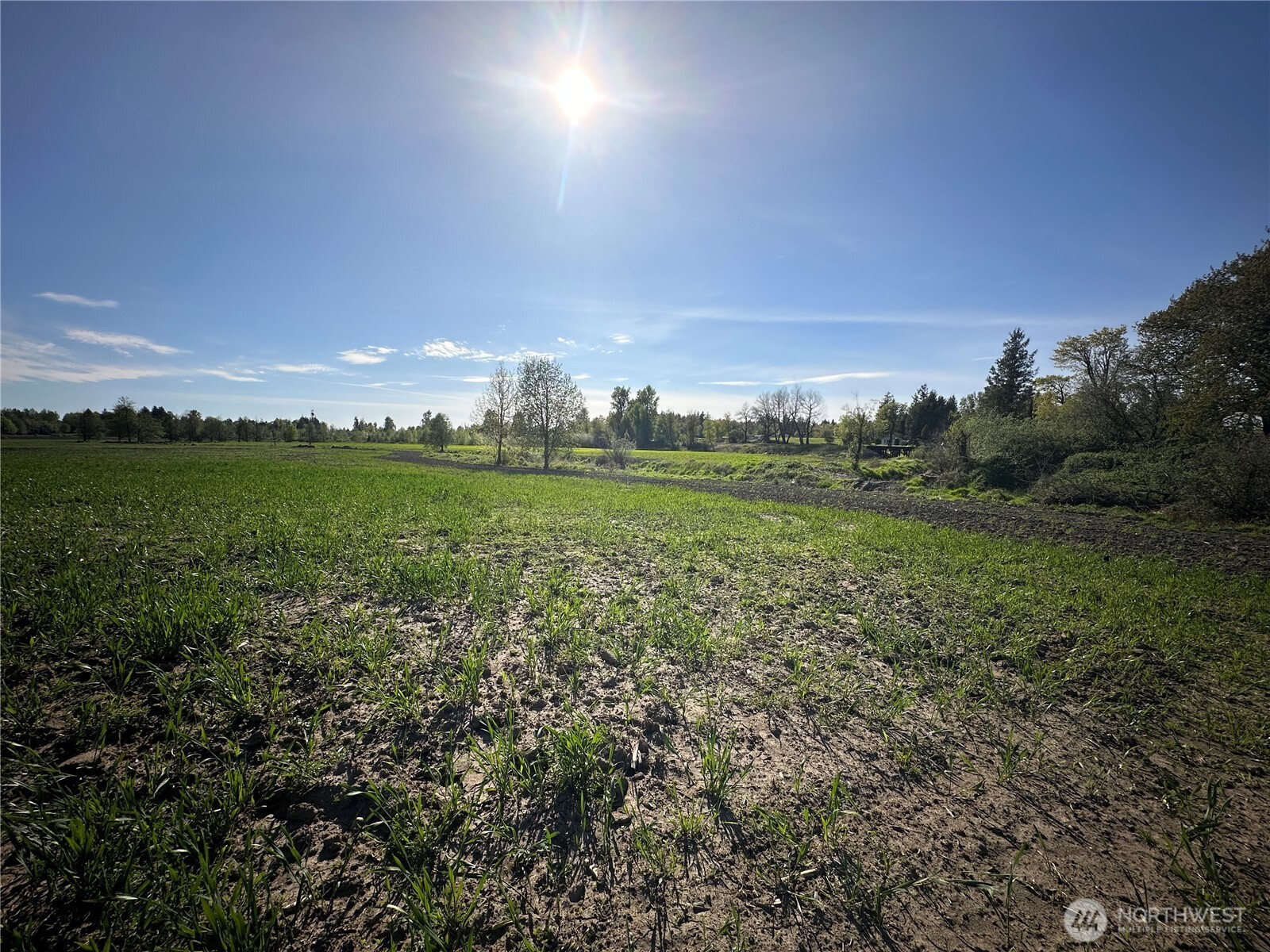 0 Clearbrook Road Property Photo 12