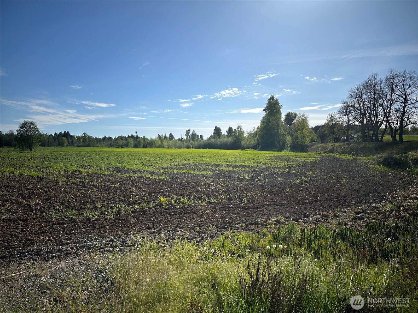0 Clearbrook Road Property Photo 15