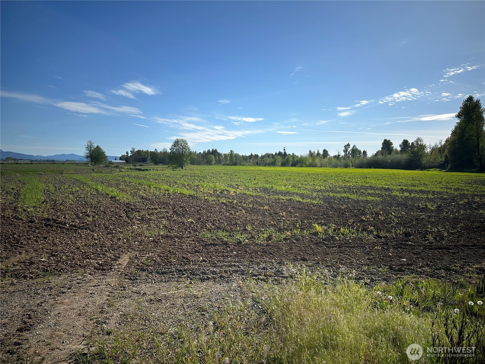 0 Clearbrook Road Property Photo 16