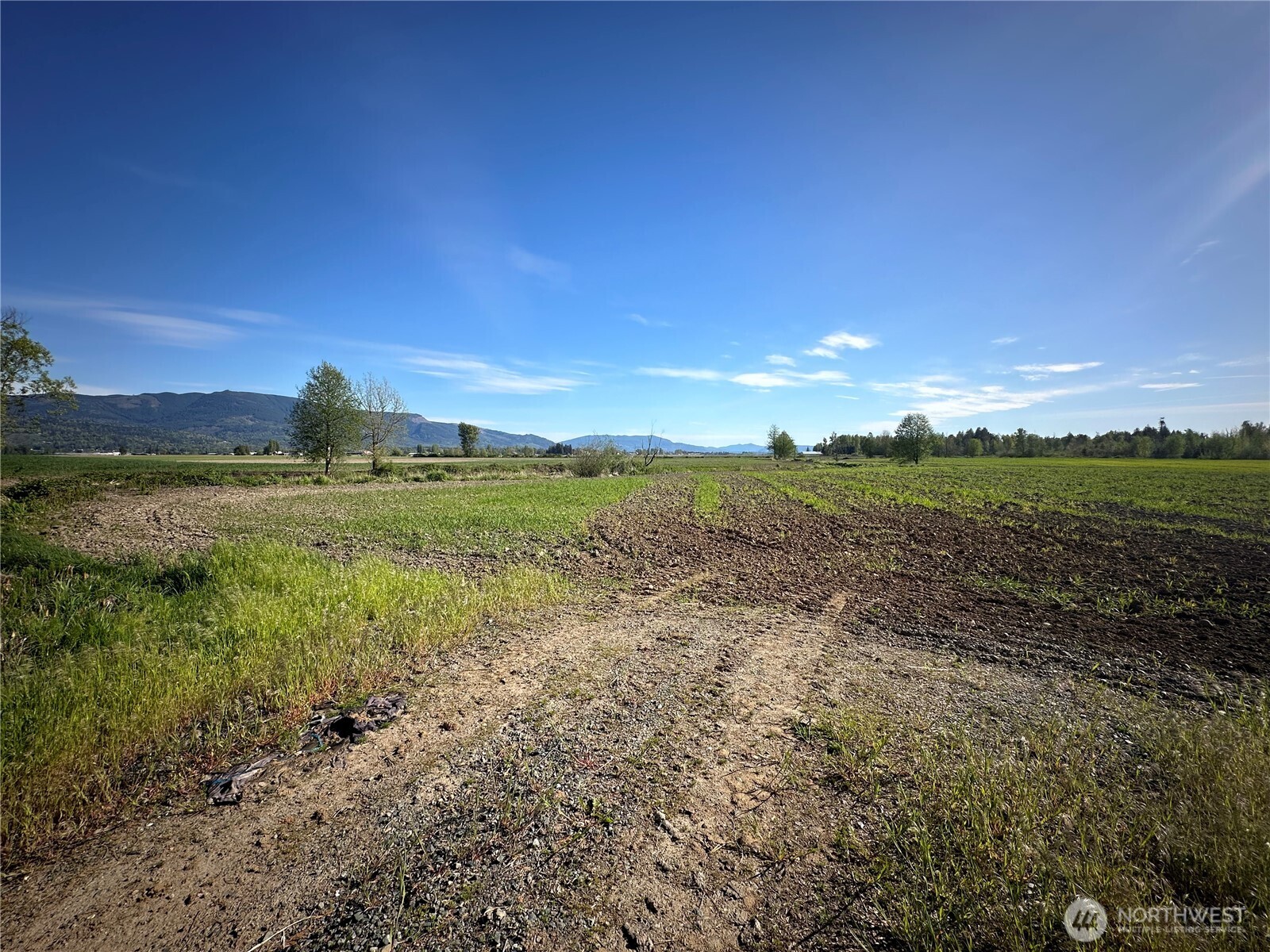 0 Clearbrook Road Property Photo 17