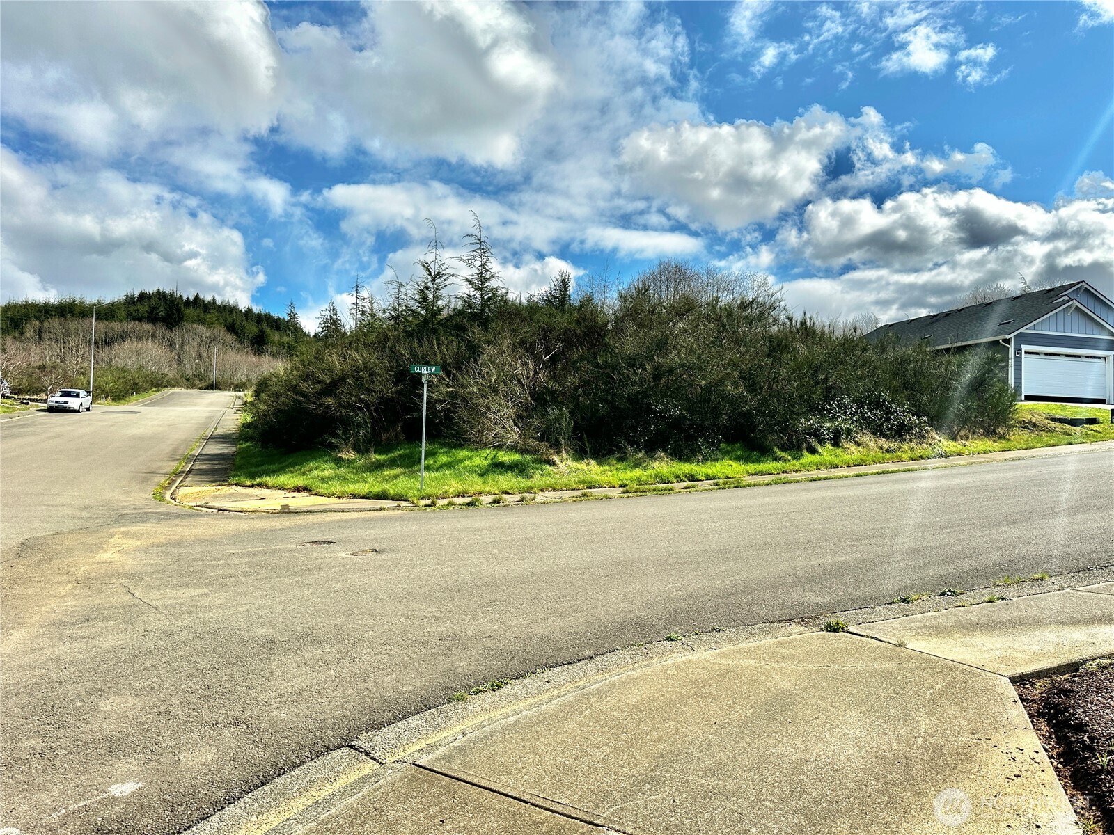 0 Curlew Court Property Photo 6