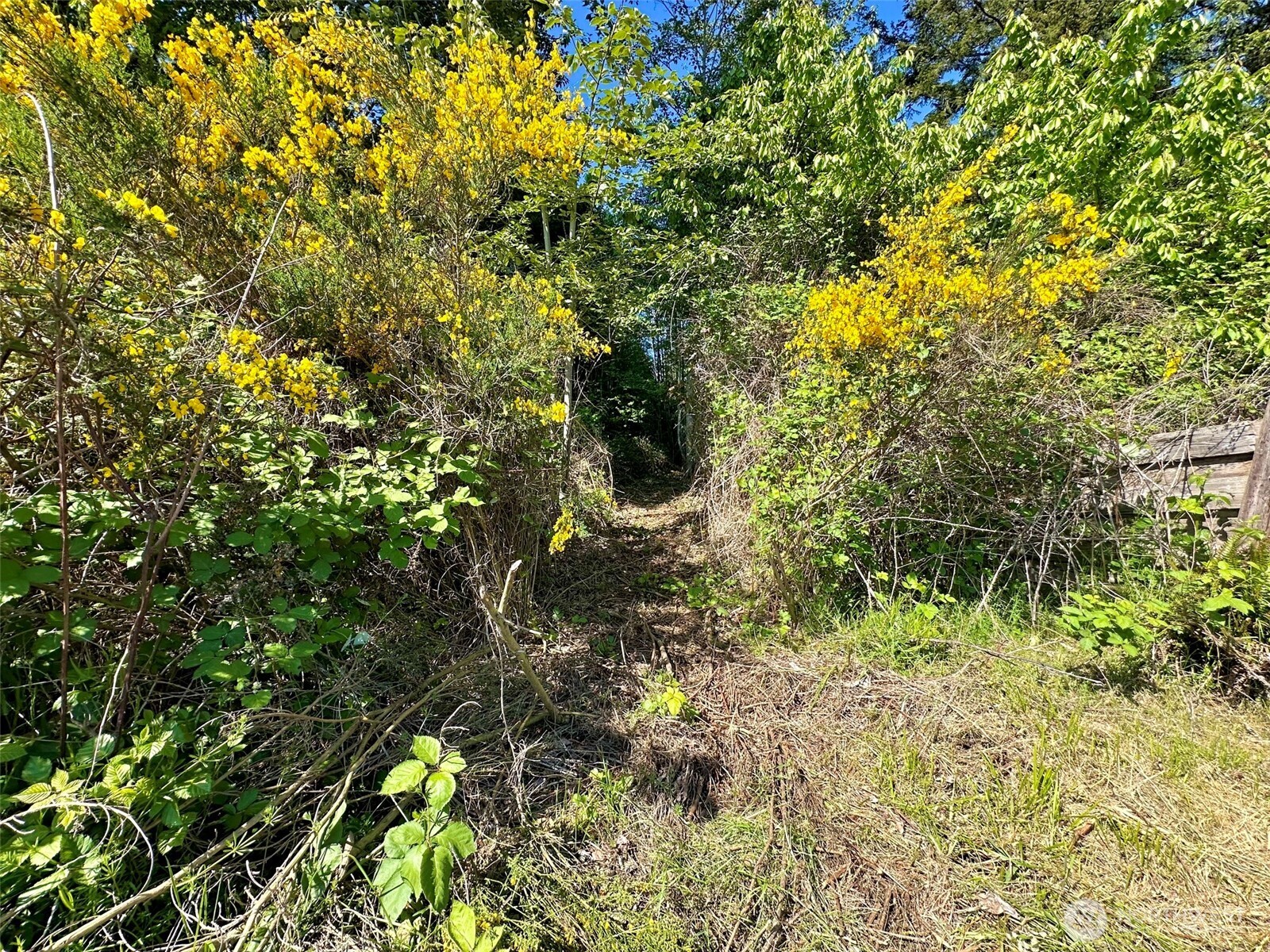 0 Xxxx Ne State Highway 104 Property Photo 7