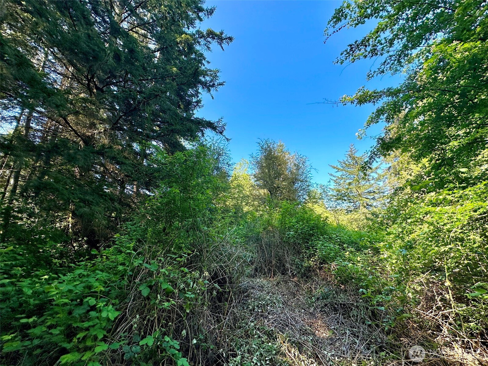 0 Xxxx Ne State Highway 104 Property Photo 14