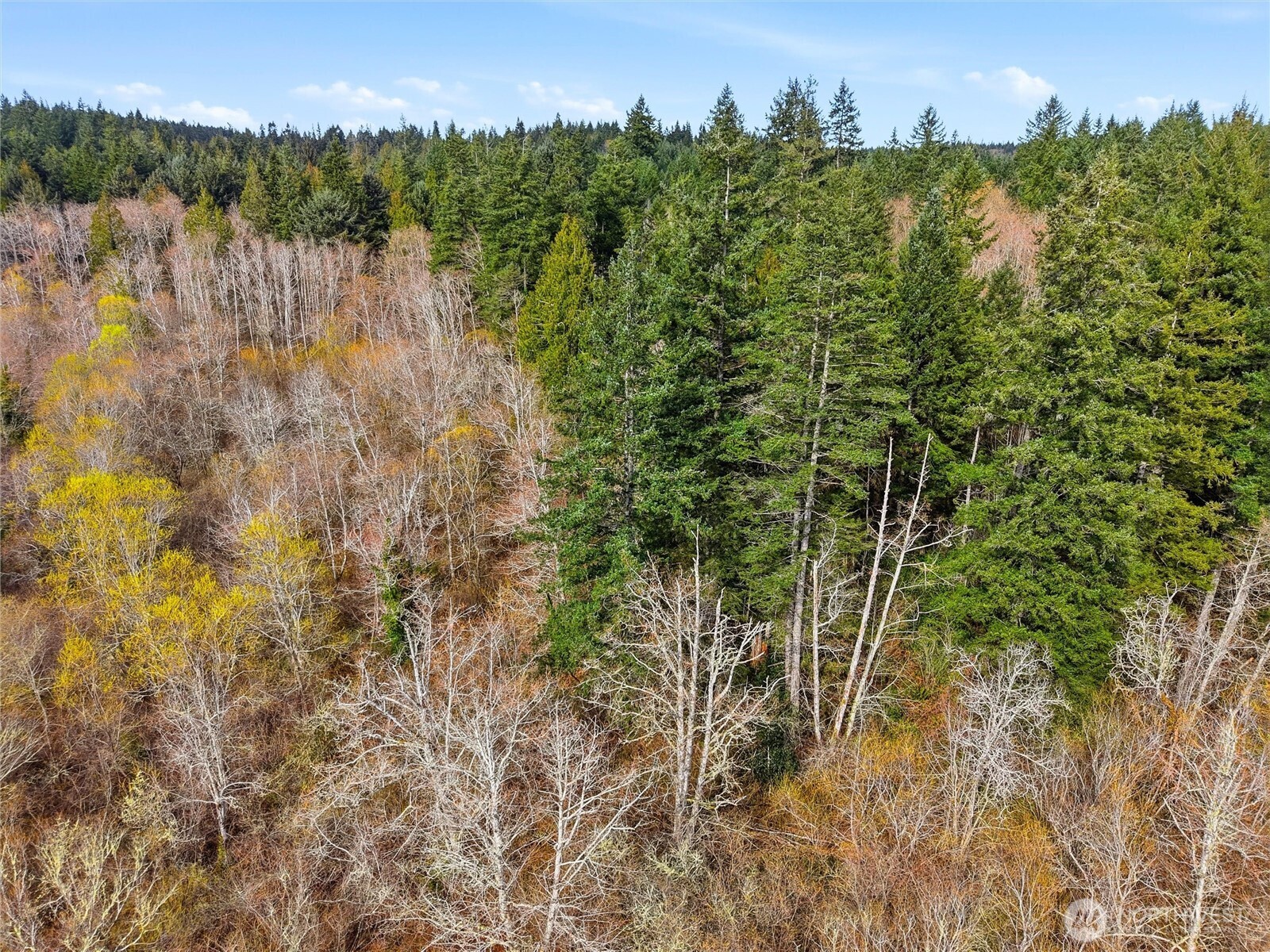 0 Xxxx Ne State Highway 104 Property Photo 16