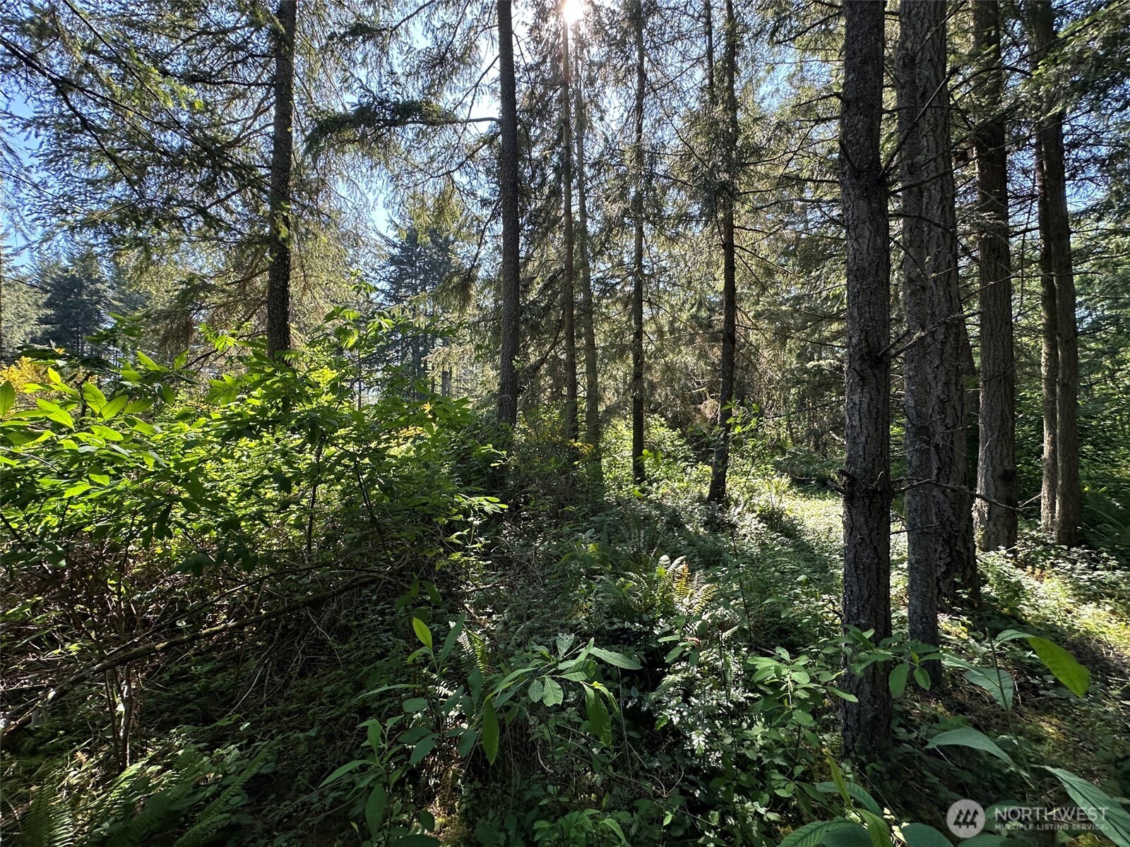 0 Xxxx Ne State Highway 104 Property Photo 18