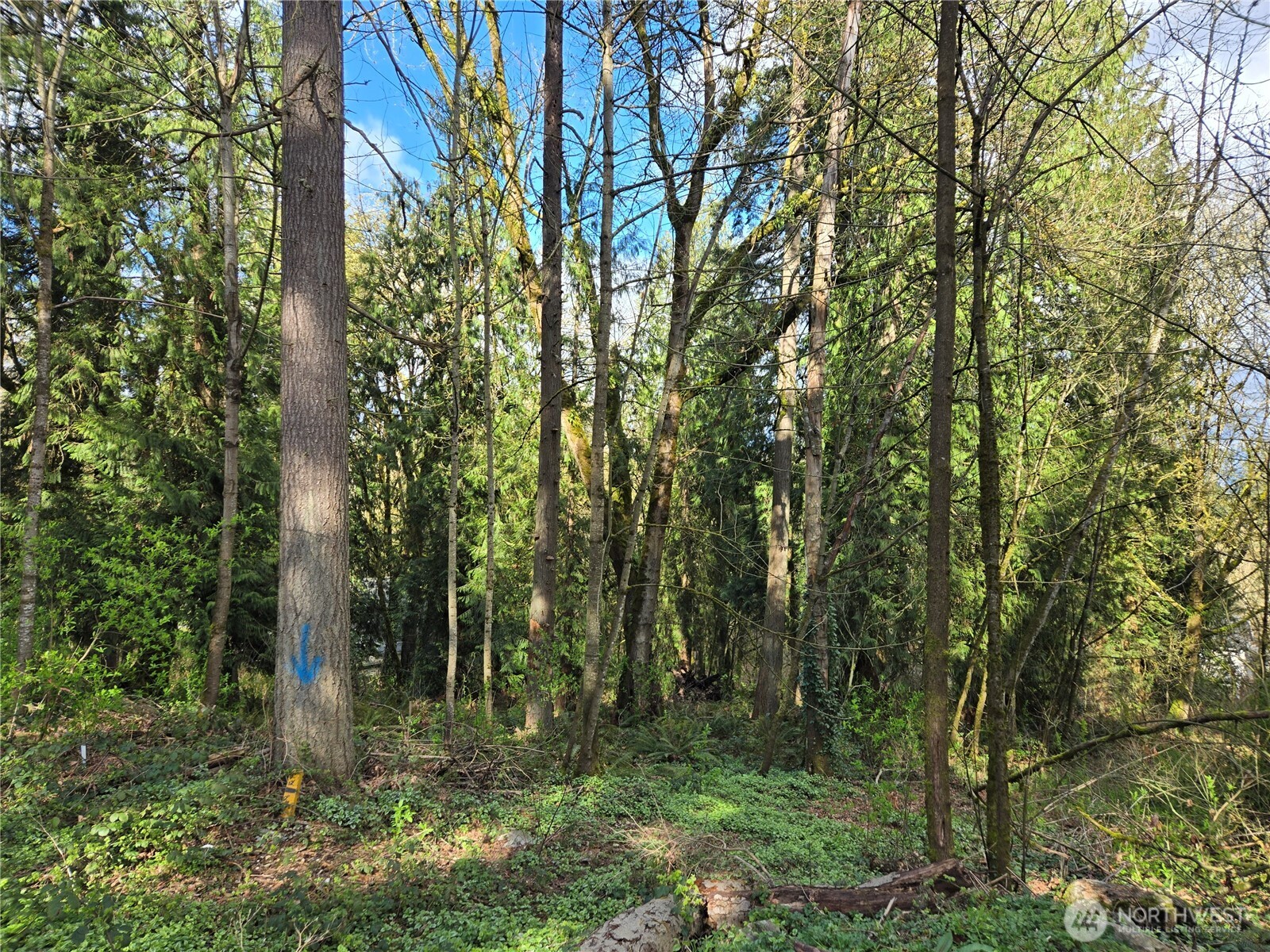 54 Xx S 344th Street Property Photo 1