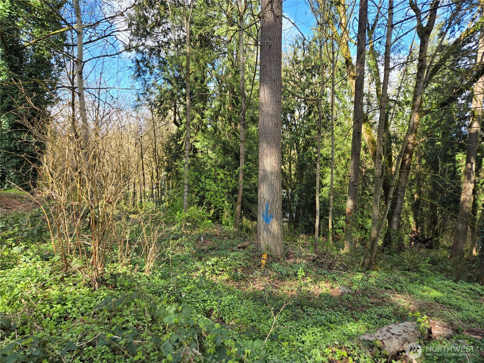 54 Xx S 344th Street Property Photo 4