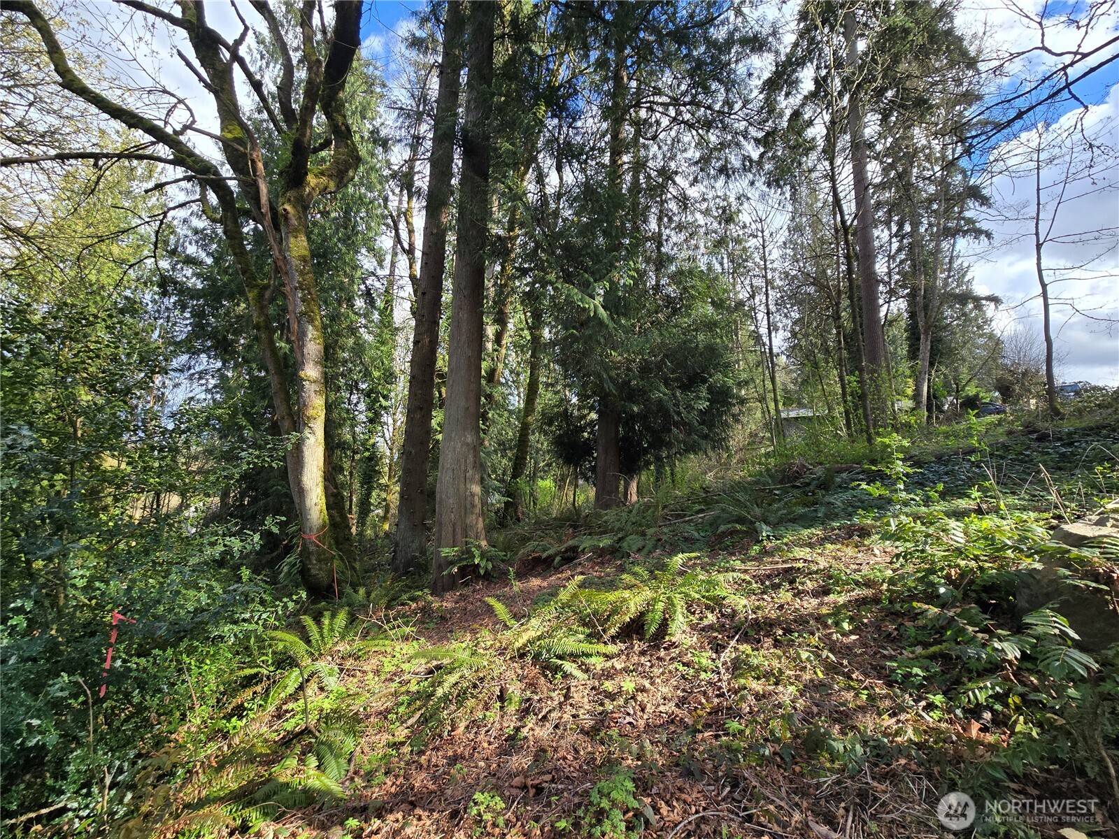54 Xx S 344th Street Property Photo 10
