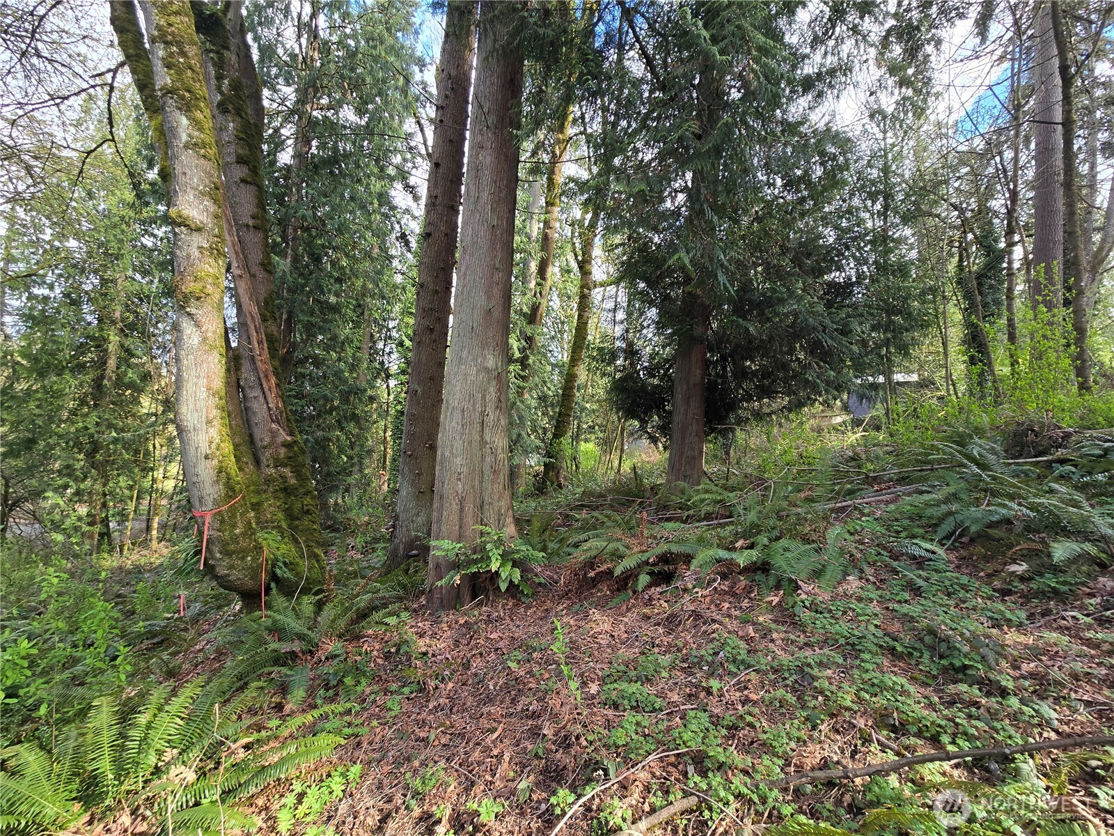 54 Xx S 344th Street Property Photo 12