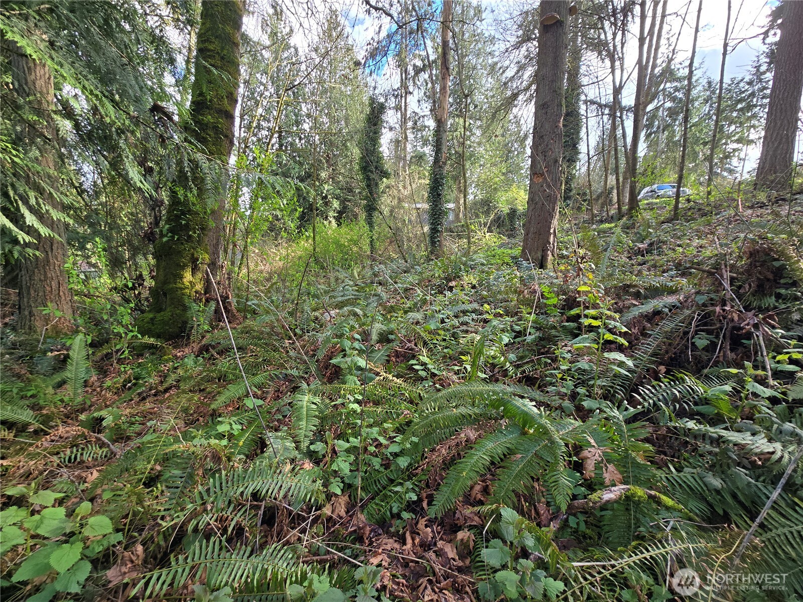 54 Xx S 344th Street Property Photo 13
