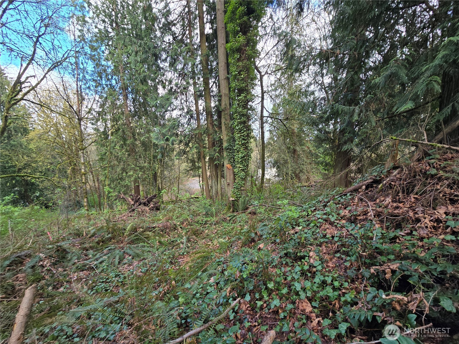 54 Xx S 344th Street Property Photo 14